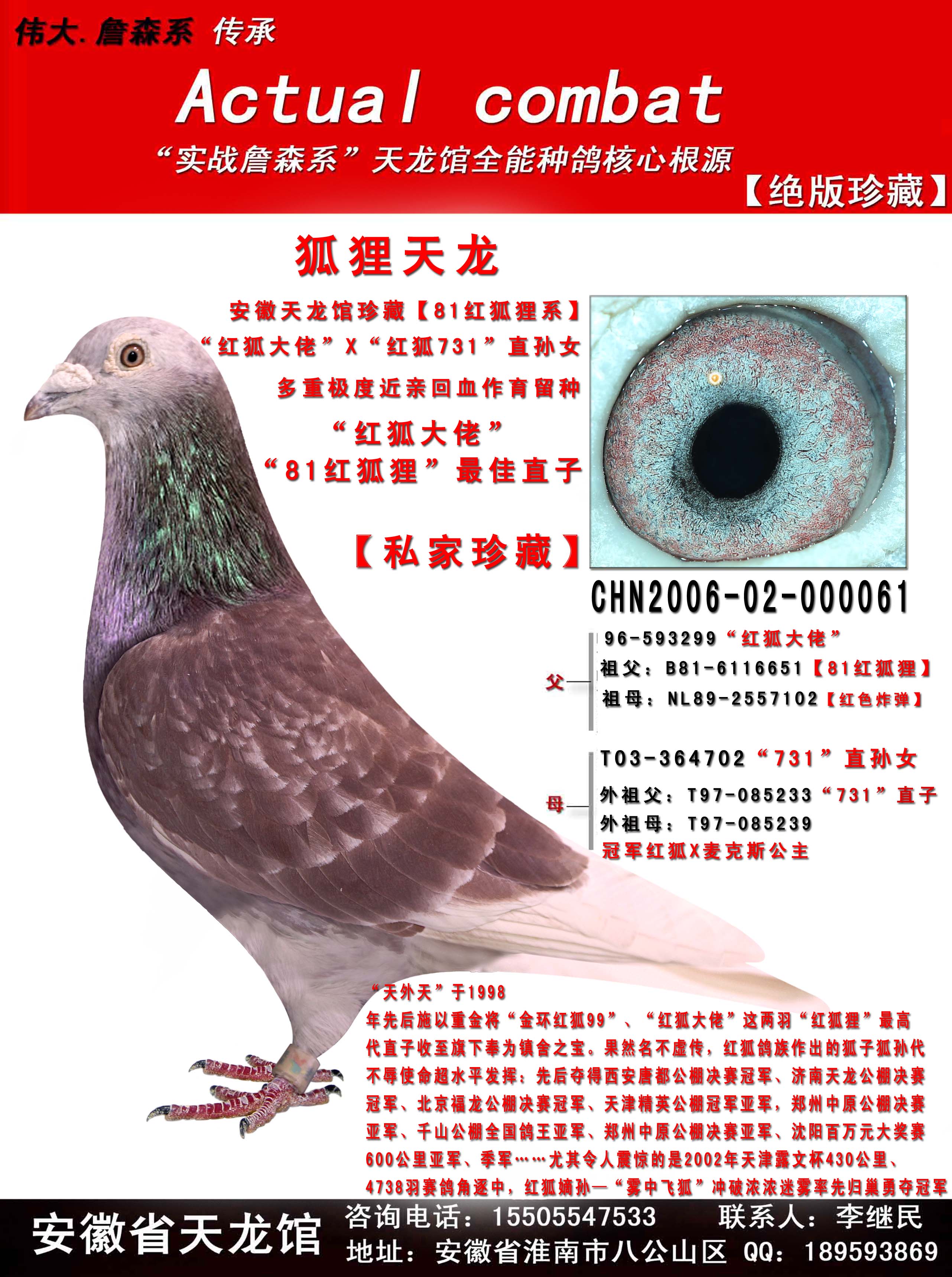 狐狸天龙