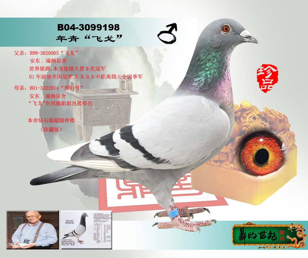 飞戈*699*基础种雄