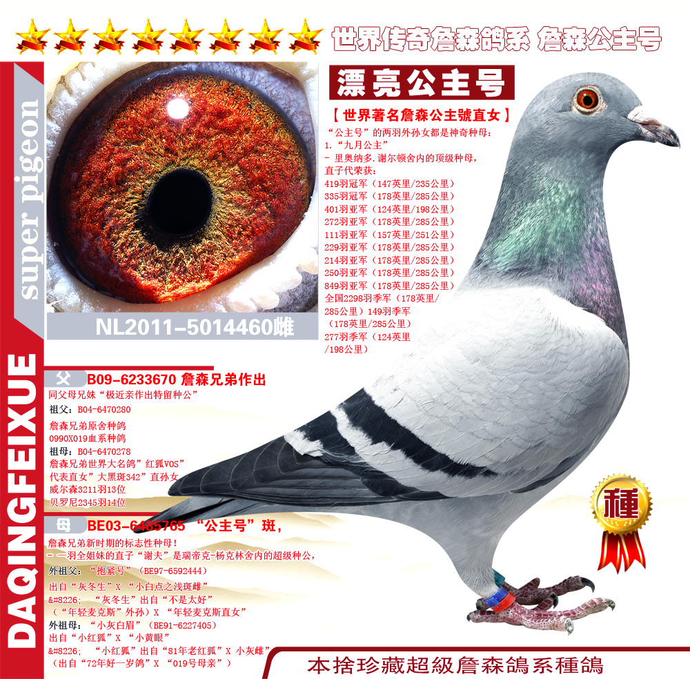 著名詹森【公主号直女】