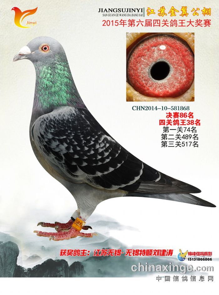 2015春金翼86名_无锡特顺鸽舍_ ag188.com爱鸽商城_中国信鸽信息网