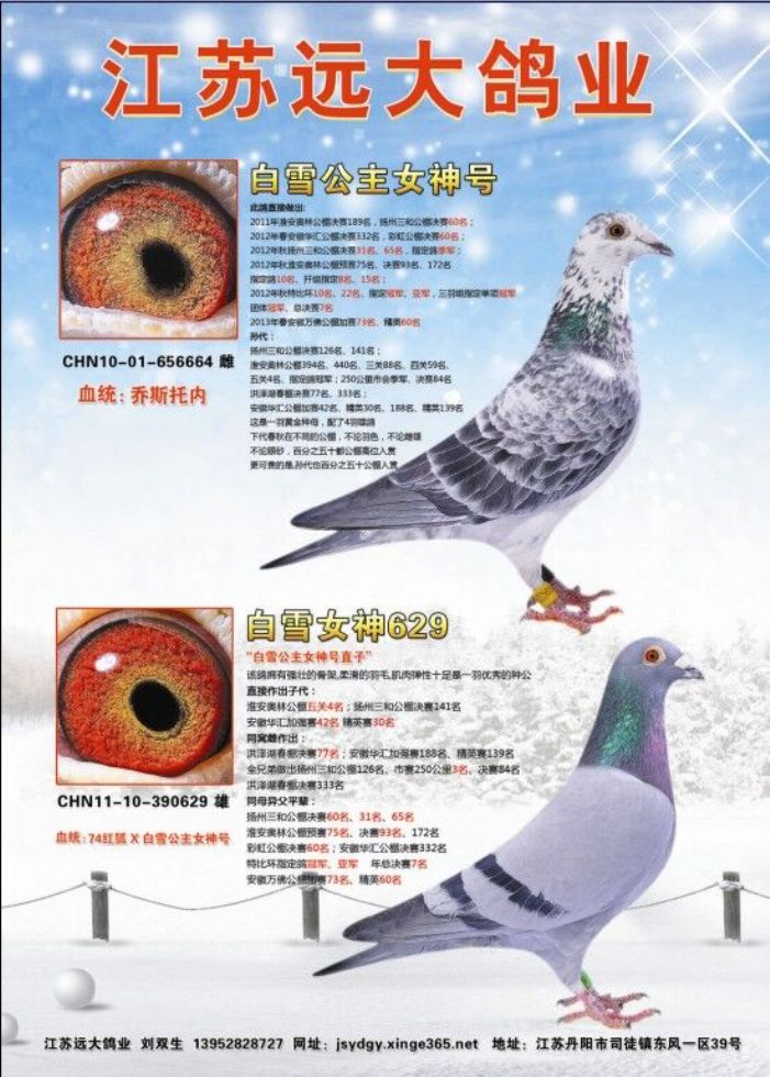 白雪公主女神号母子