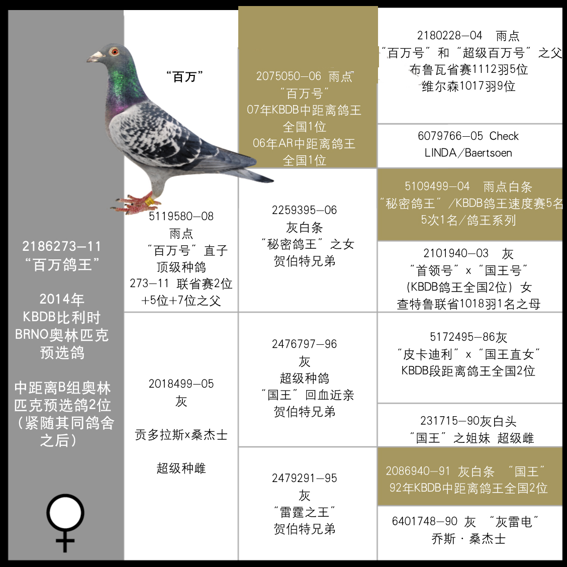 b 11—2186273_比利时贺伯特家族_ ag188.com爱鸽商城_中国信鸽信息网