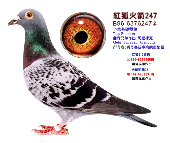 明月詹森222直子