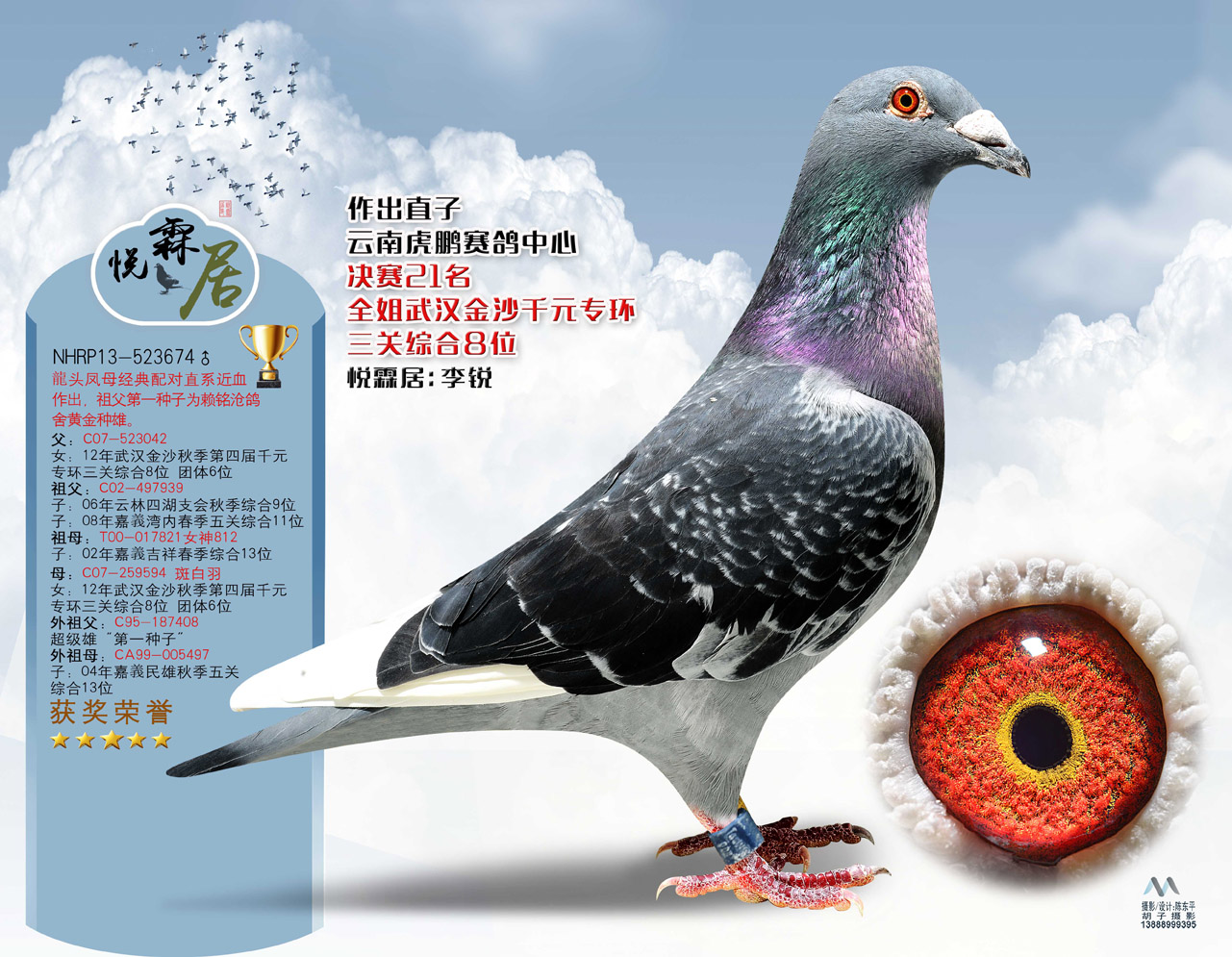 台湾赖铭沧鸽舍种鸽图片