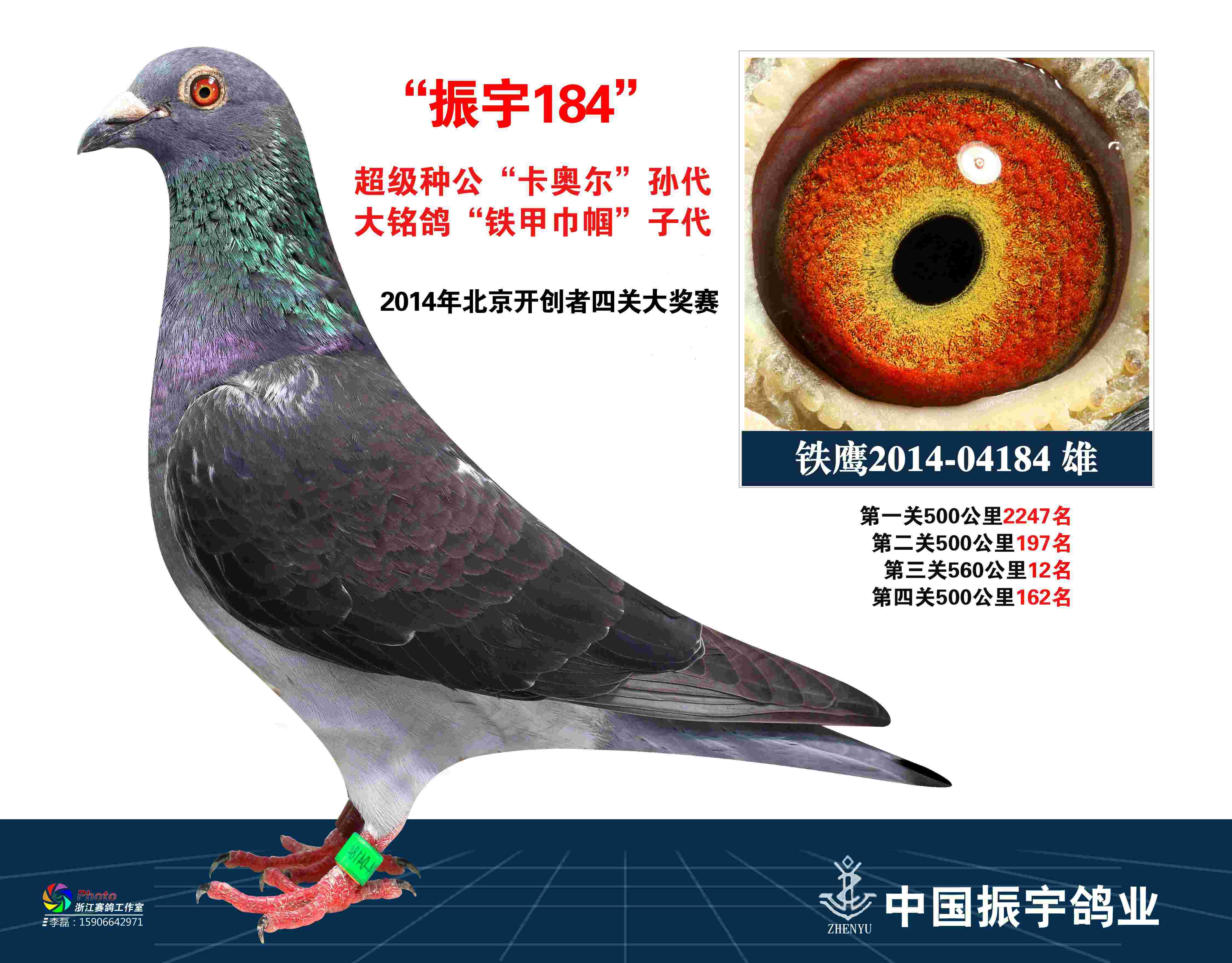 振宇184