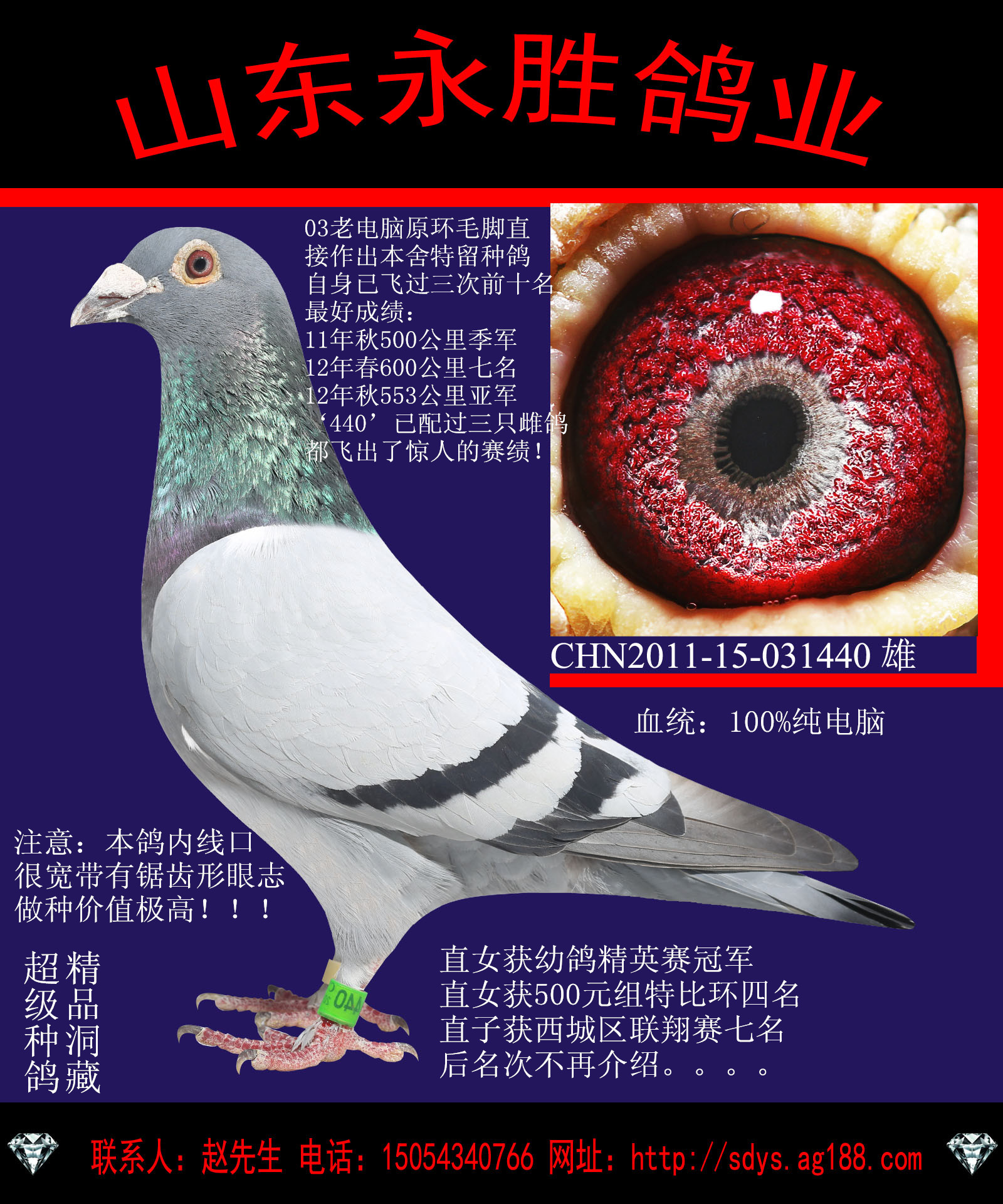 永胜鸽业三次前十名成绩霸主