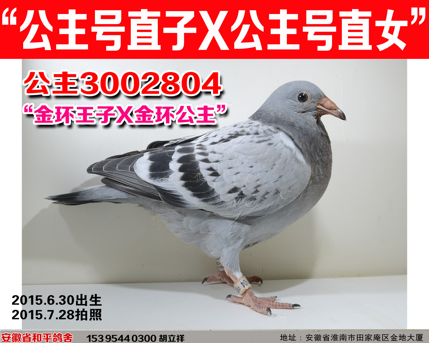 小公主号【最后的詹森公主号】