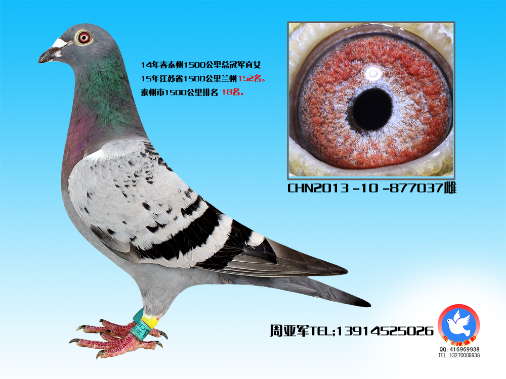 兰州公主