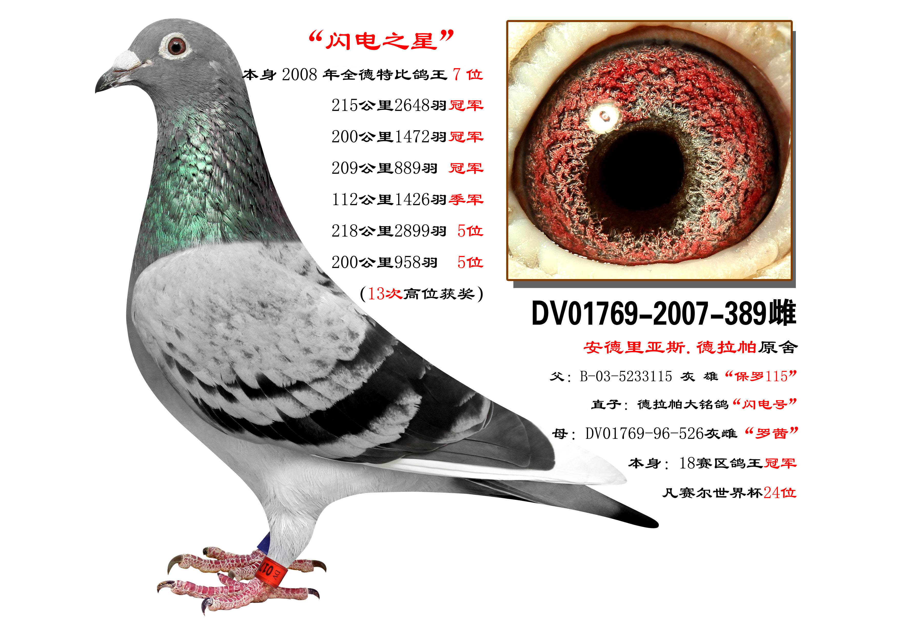 德拉帕血统:闪电之星