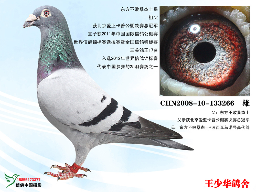 东方不败桑杰士