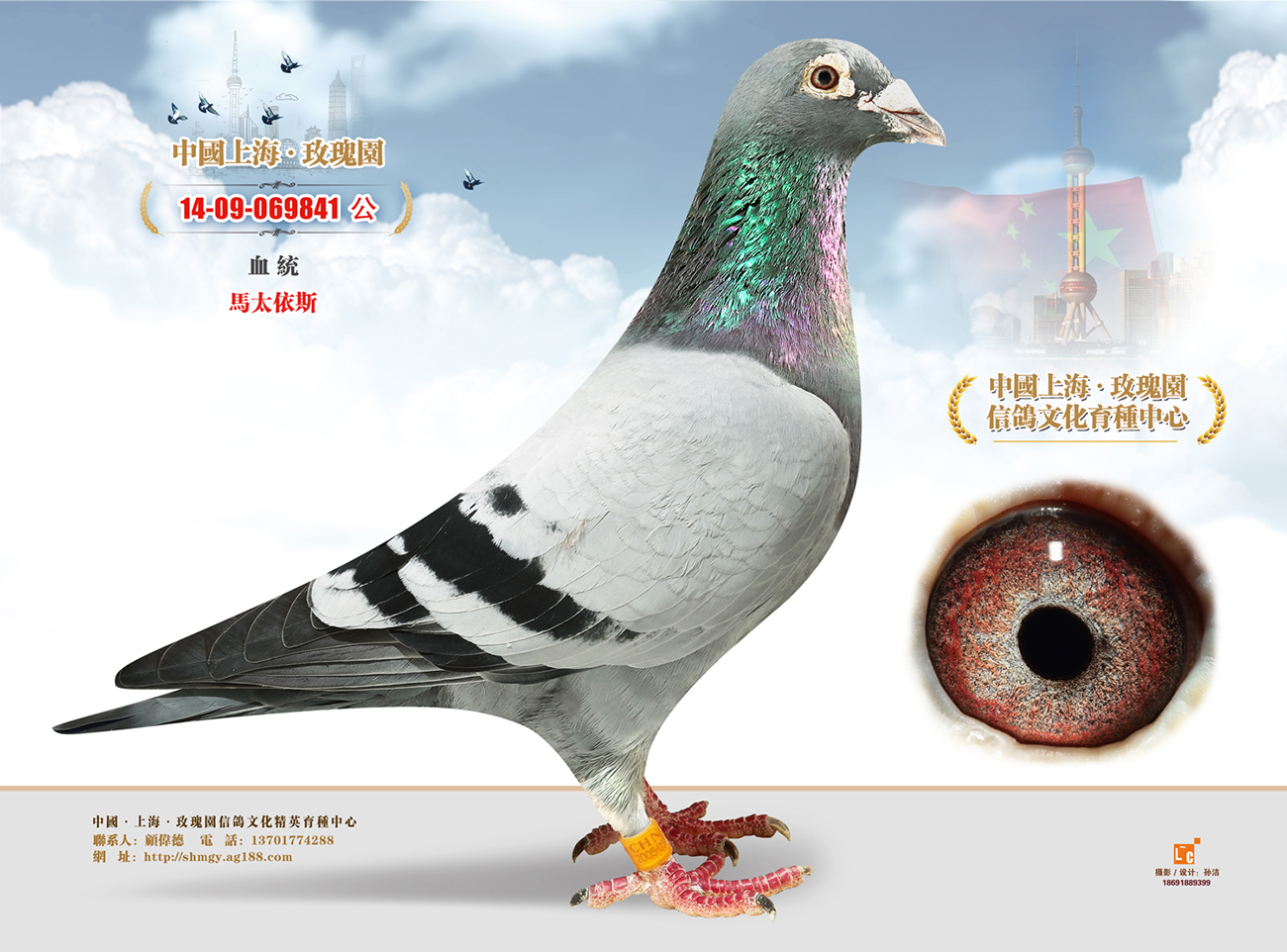 马太依斯841