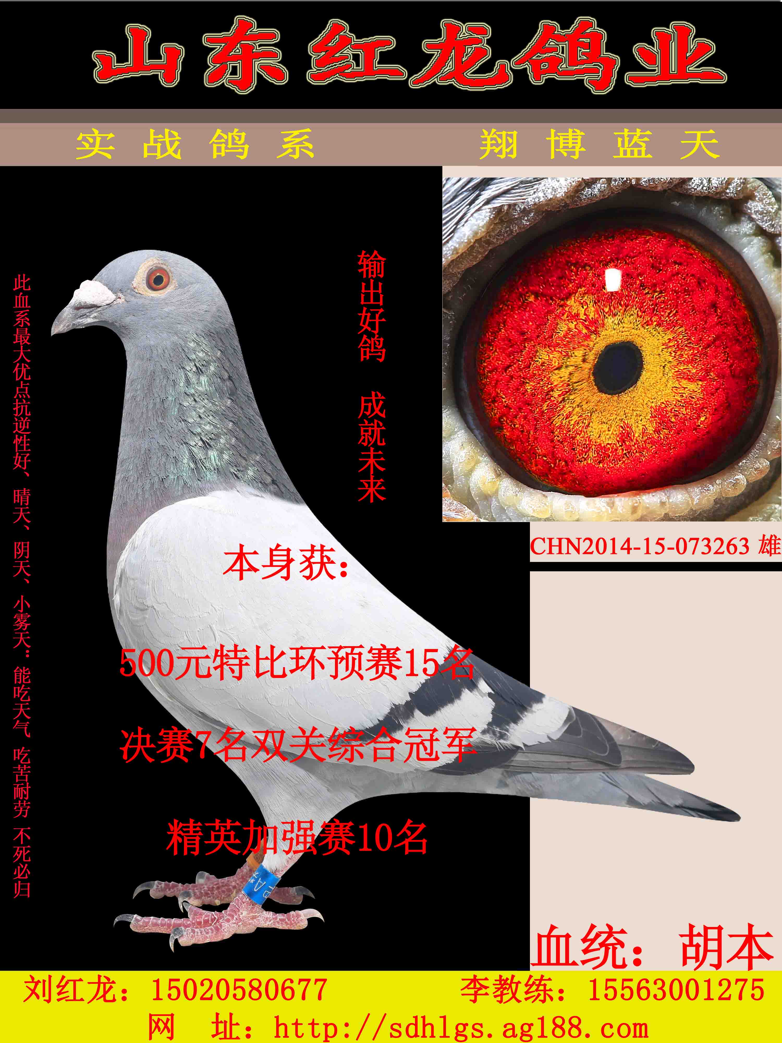 胡本263