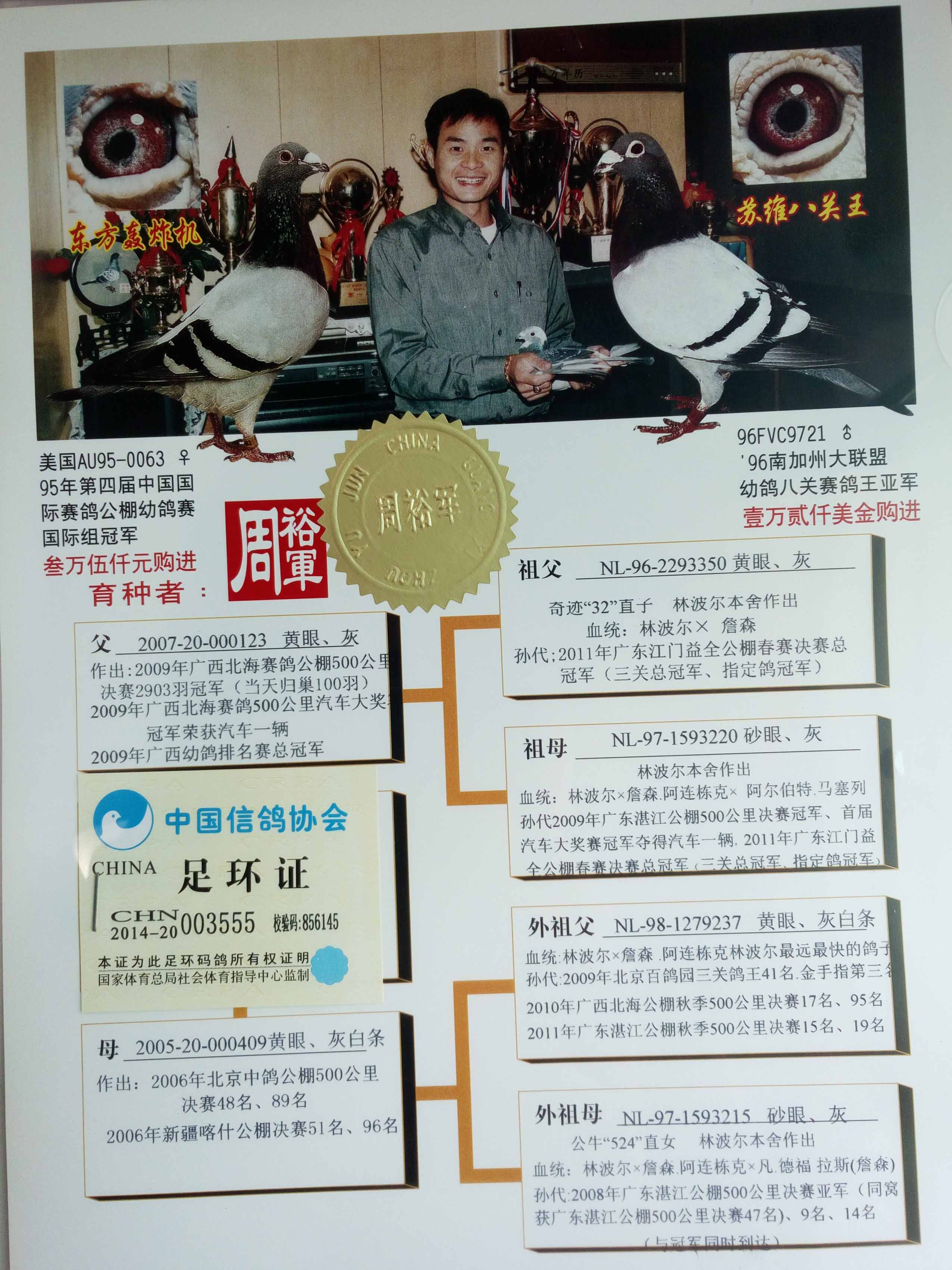 林波儿奇迹3555