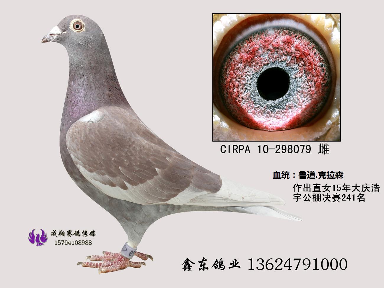 蔡丰吉鲁道克拉森