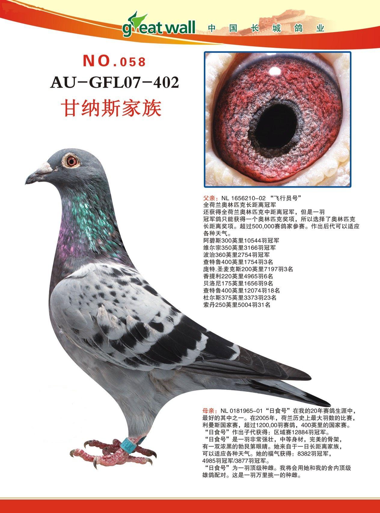 甘纳斯:飞行家直女