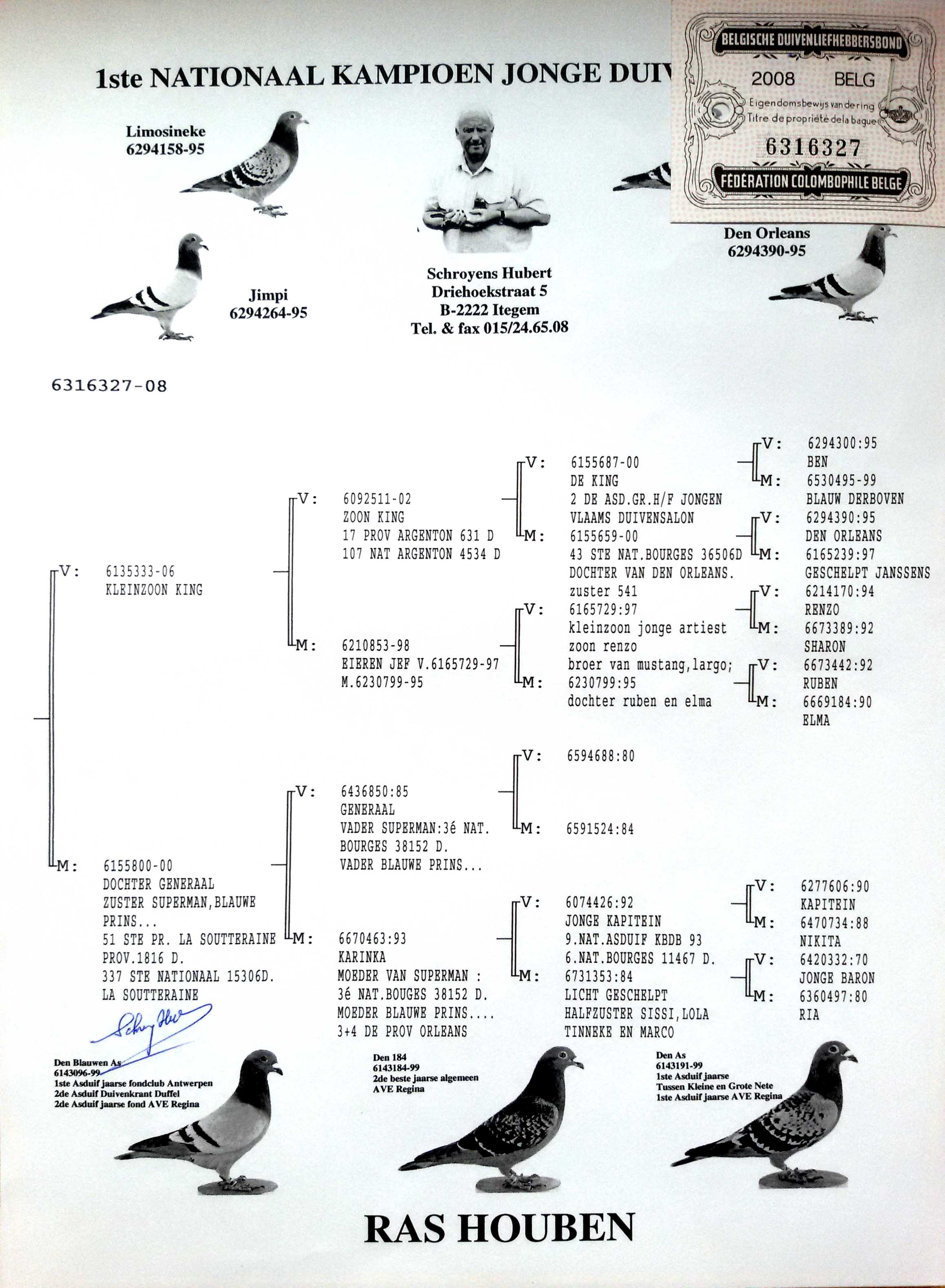 com爱鸽商城_中国信鸽信息网