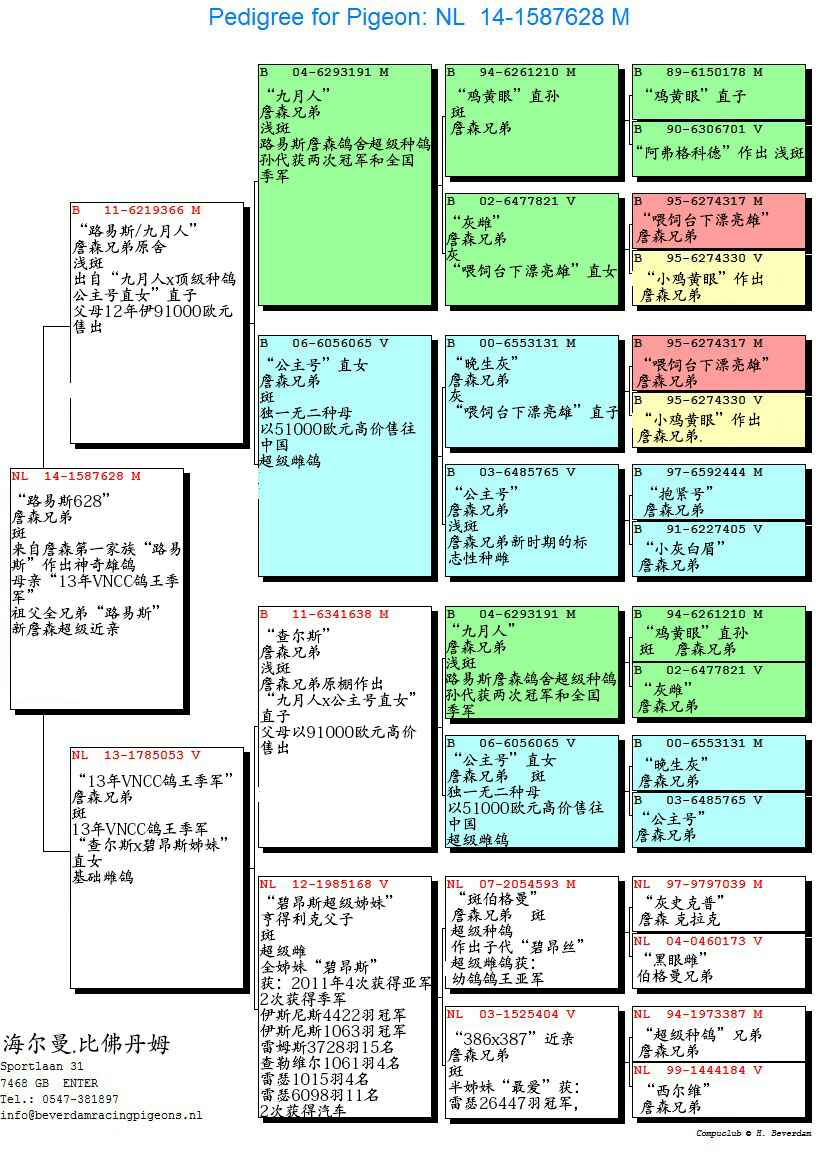 13年vncc鴿王季軍