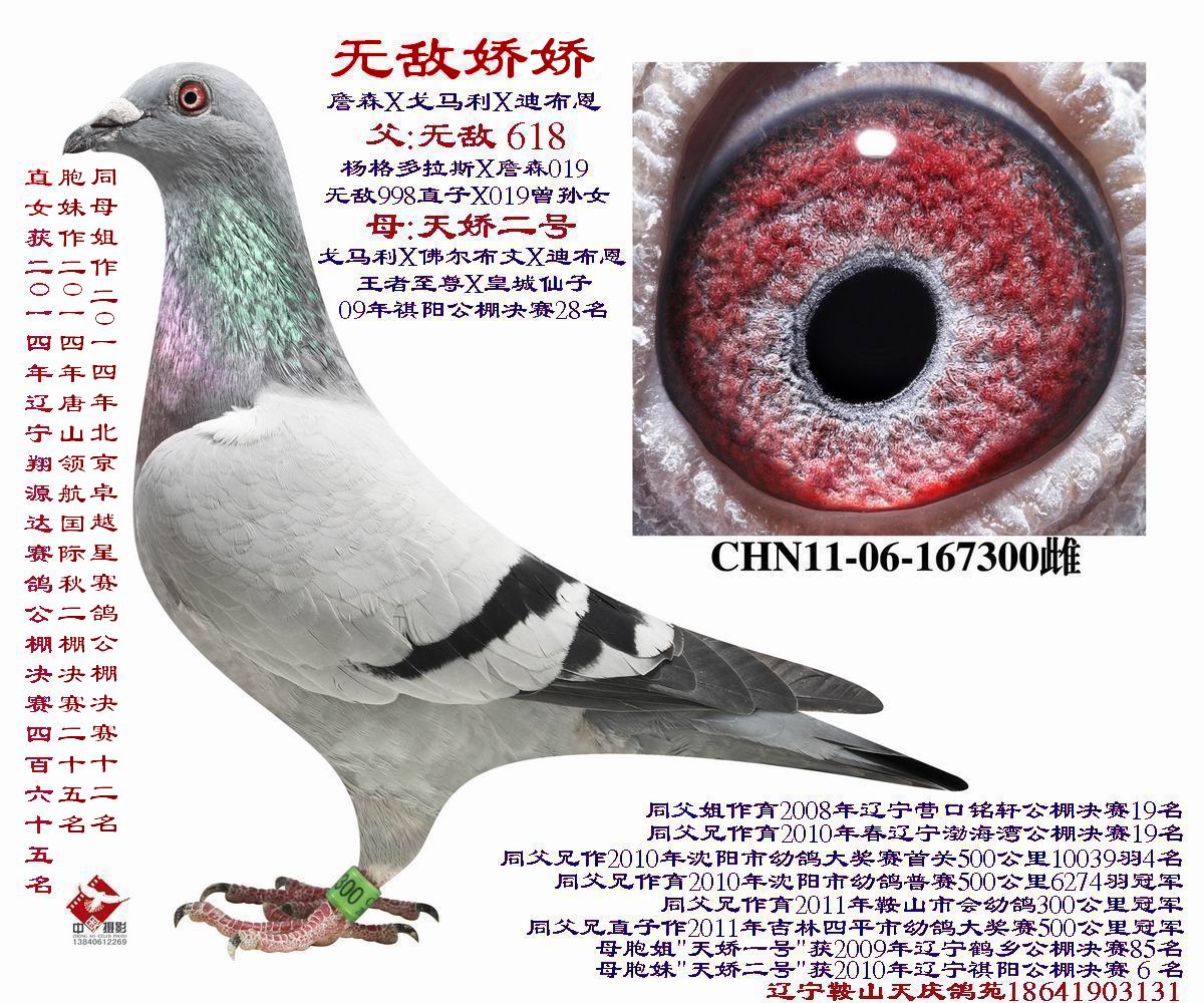 无敌娇娇-詹森019x戈马利020