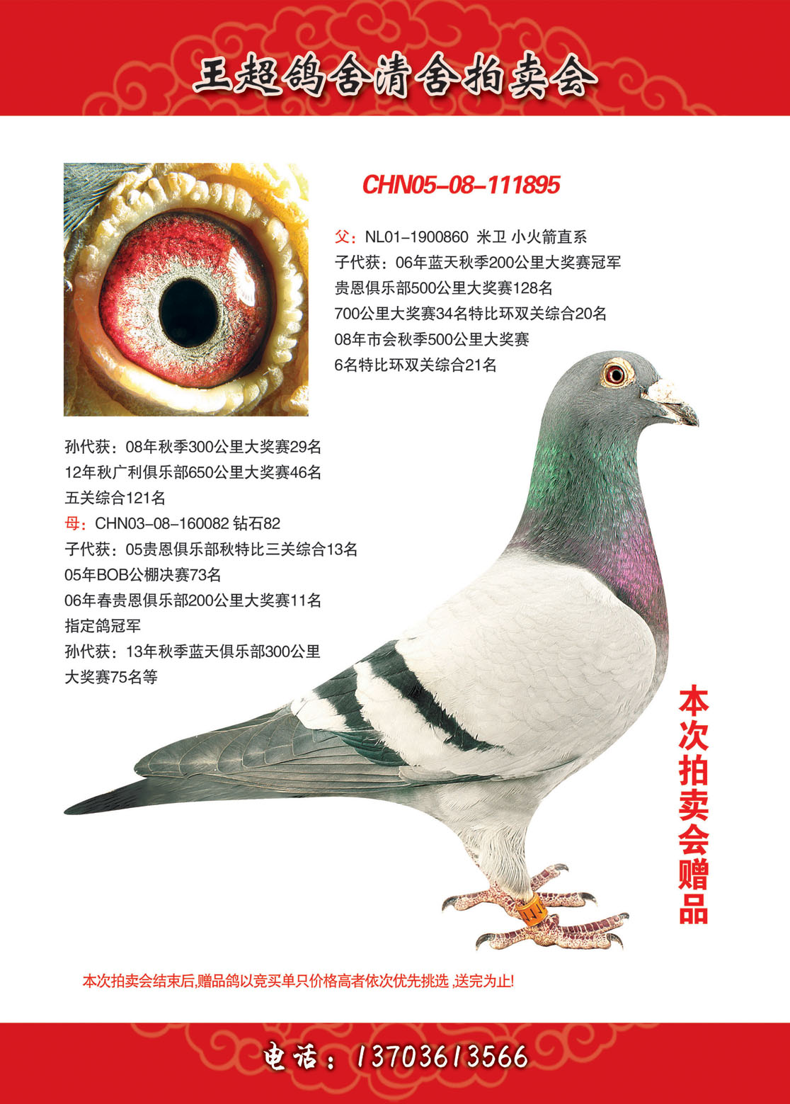 王超鸽舍清舍拍卖会010