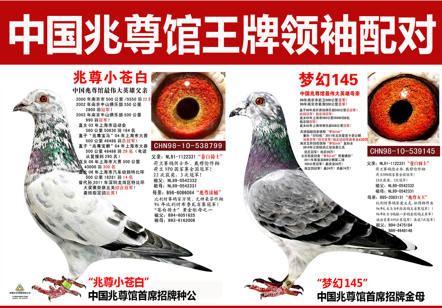 "苍白骑士"孙女【苍白虞姬】