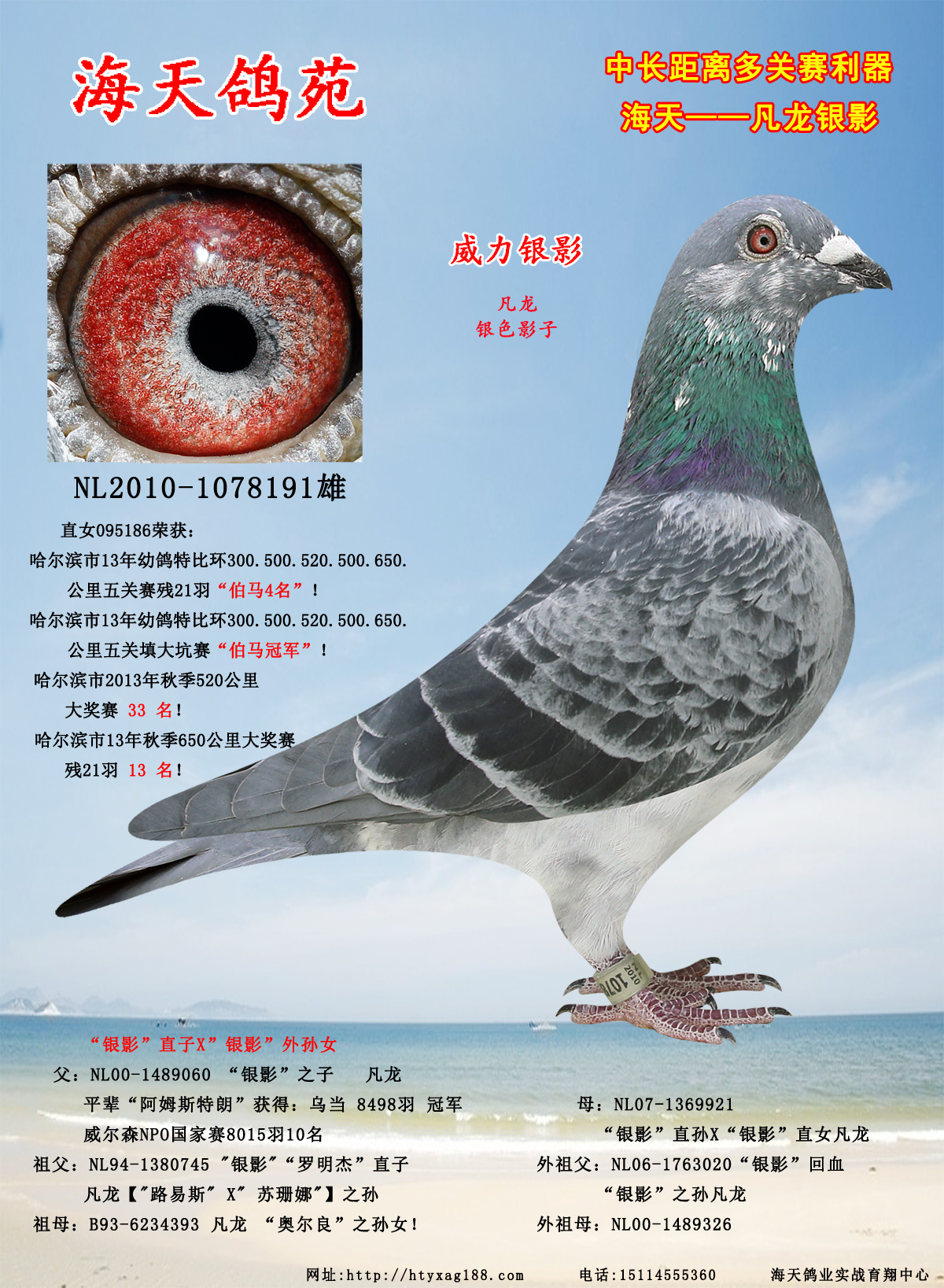 海天鸽业实战育翔中心 - 中信网铭鸽展厅 www.ag188.com