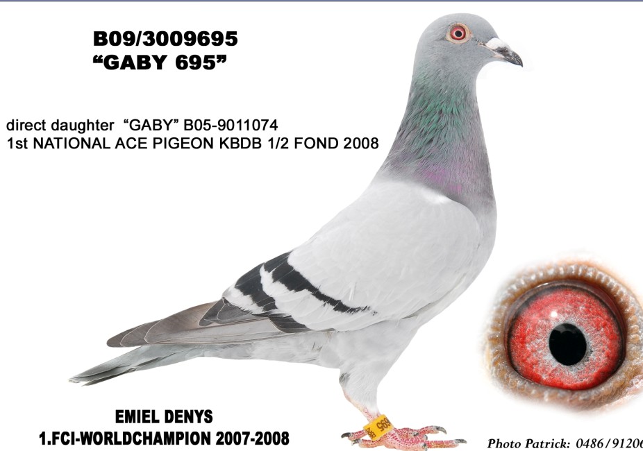 您要找的稷帅庄园展厅服务时间已到期