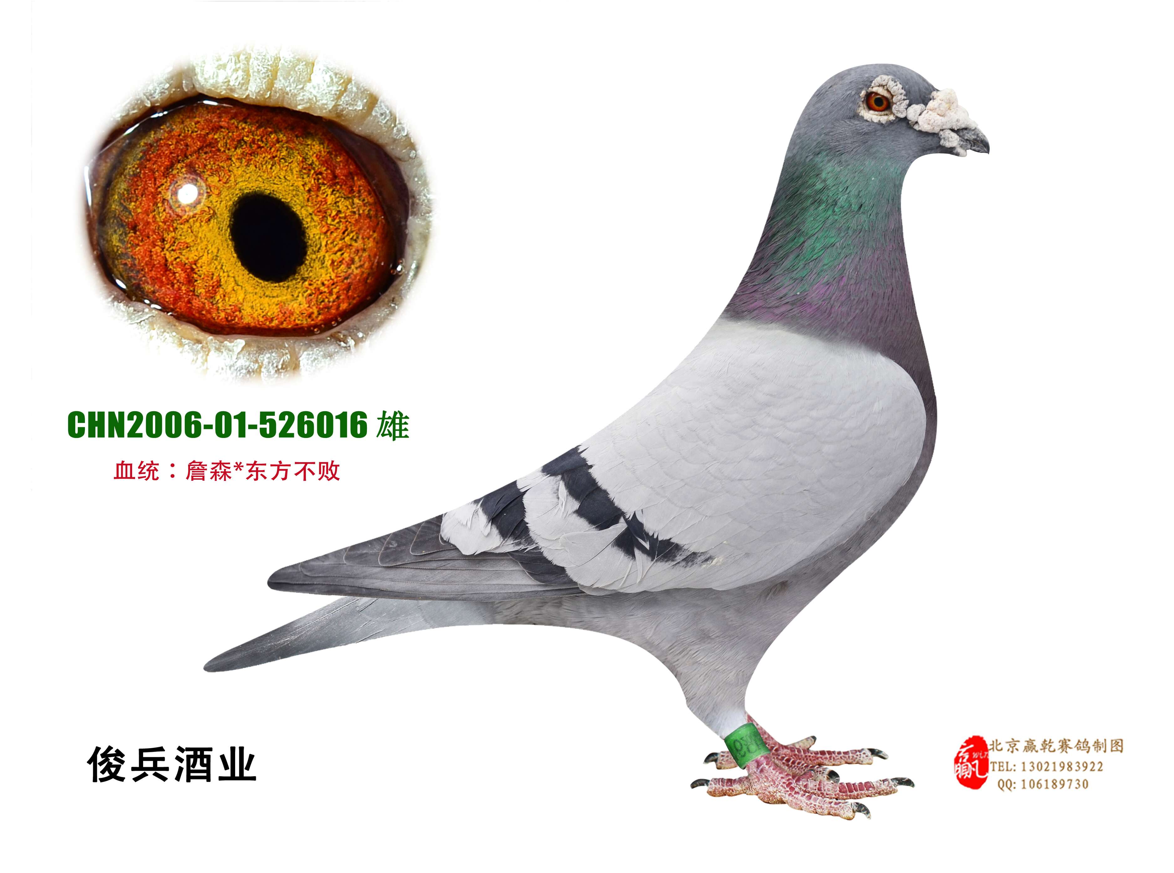 东方不败外孙