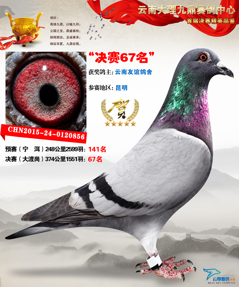 九鼎公棚67名_云南友谊鸽舍_ ag188.com爱鸽商城_中国信鸽信息网