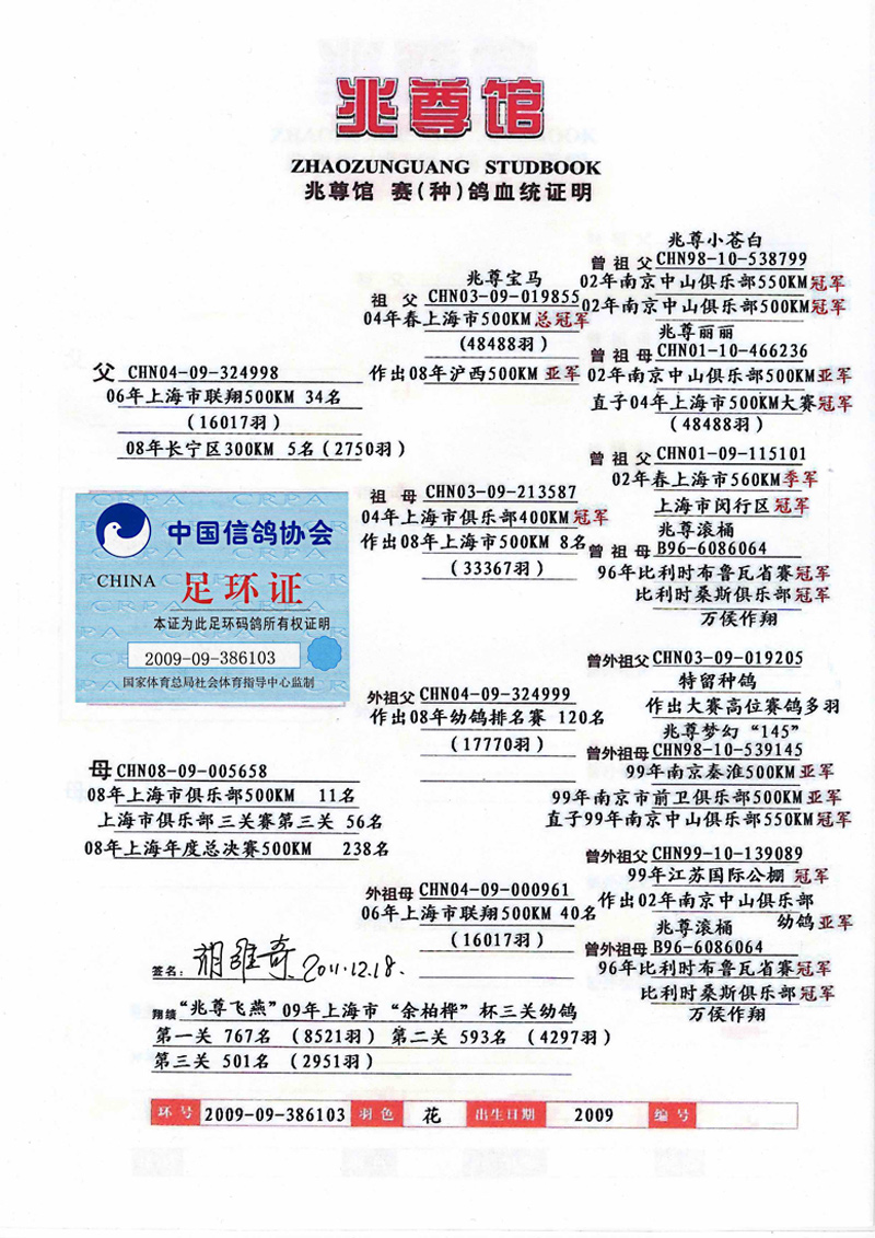 "兆尊宝马"孙女