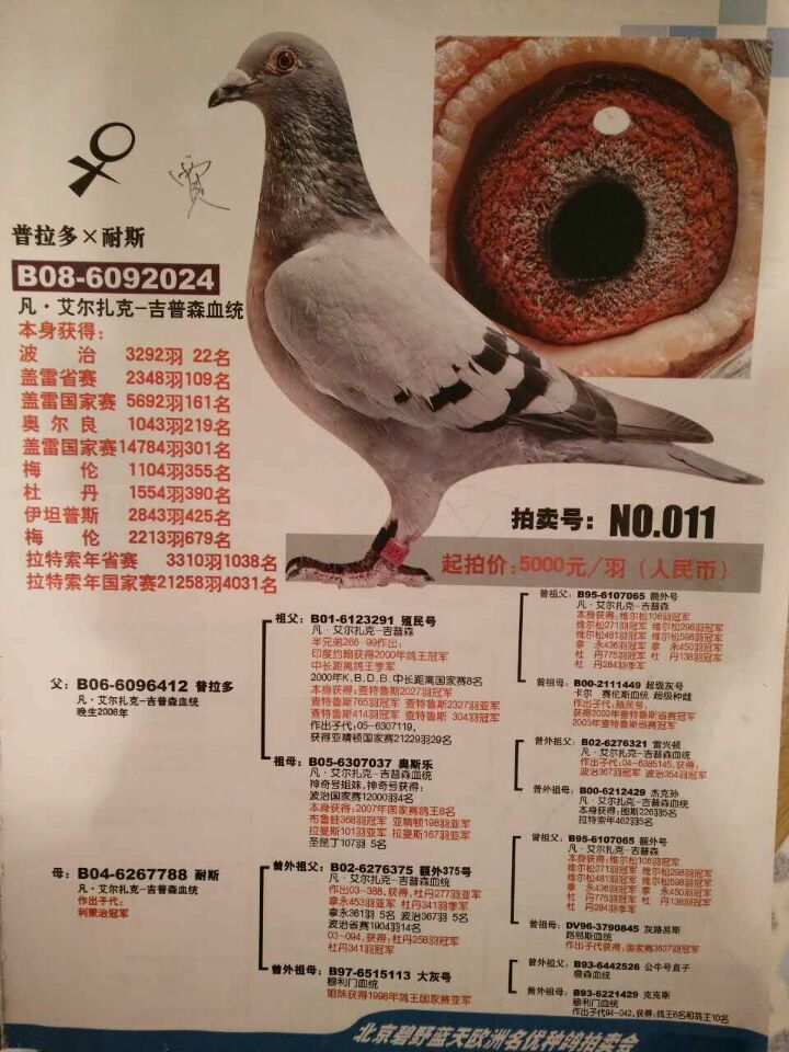 艾尔扎克-吉普森原舍