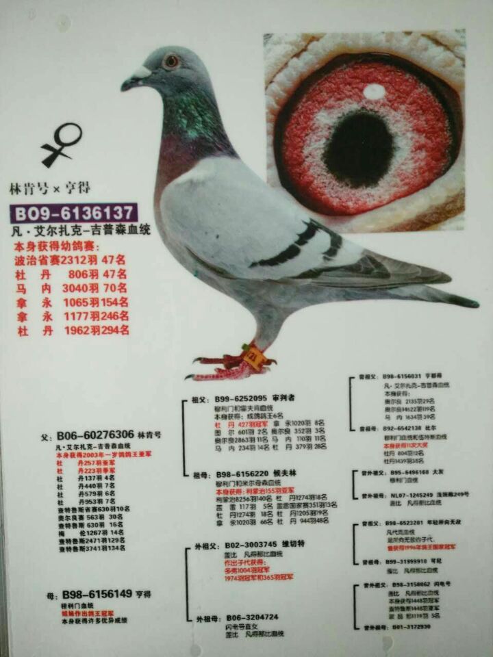 艾尔扎克-吉普森原舍