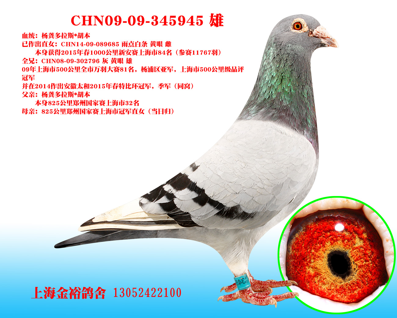 父亲:上海市品评冠军