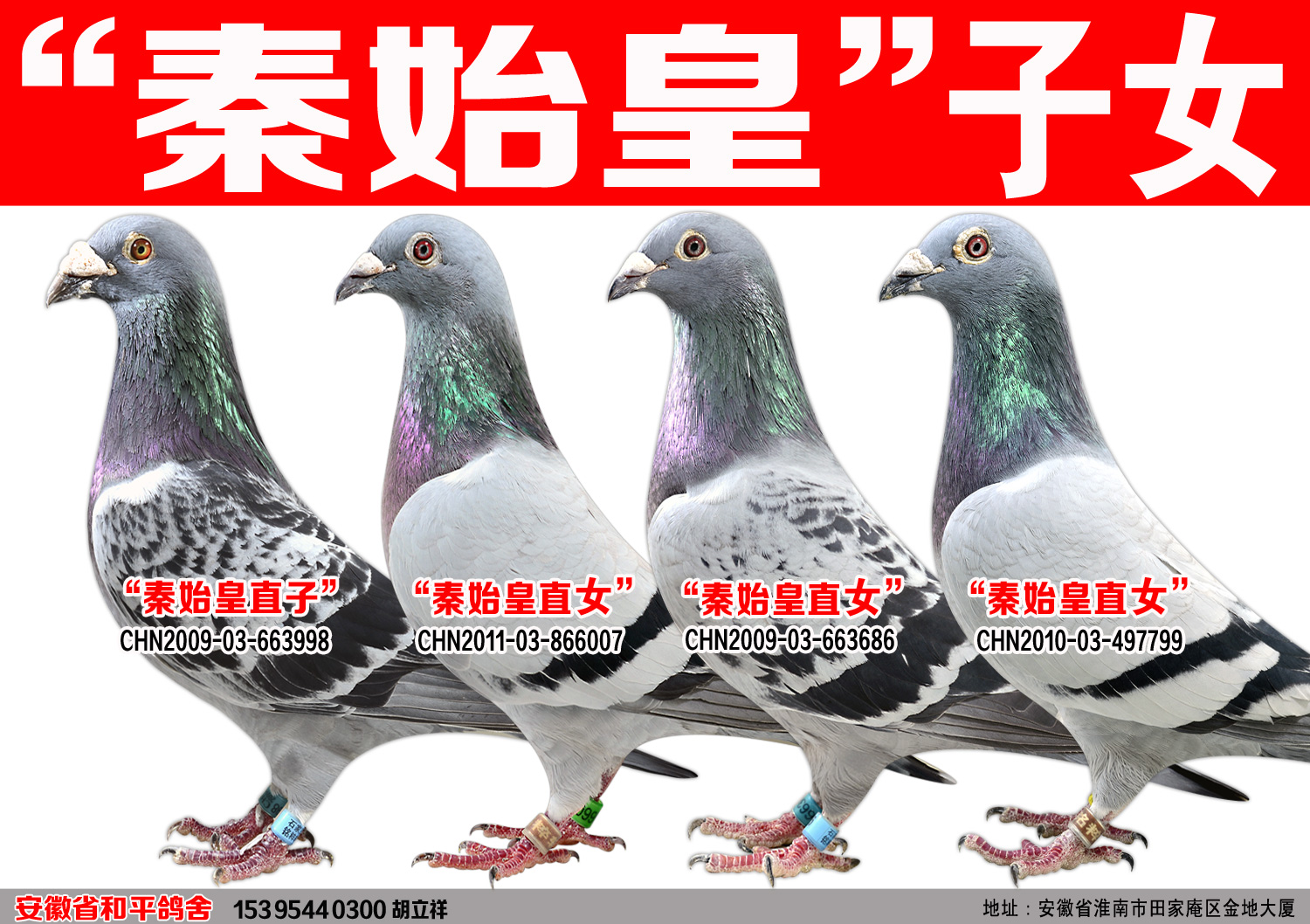 考夫曼秦始皇【秦始皇直子※秦始皇直女】