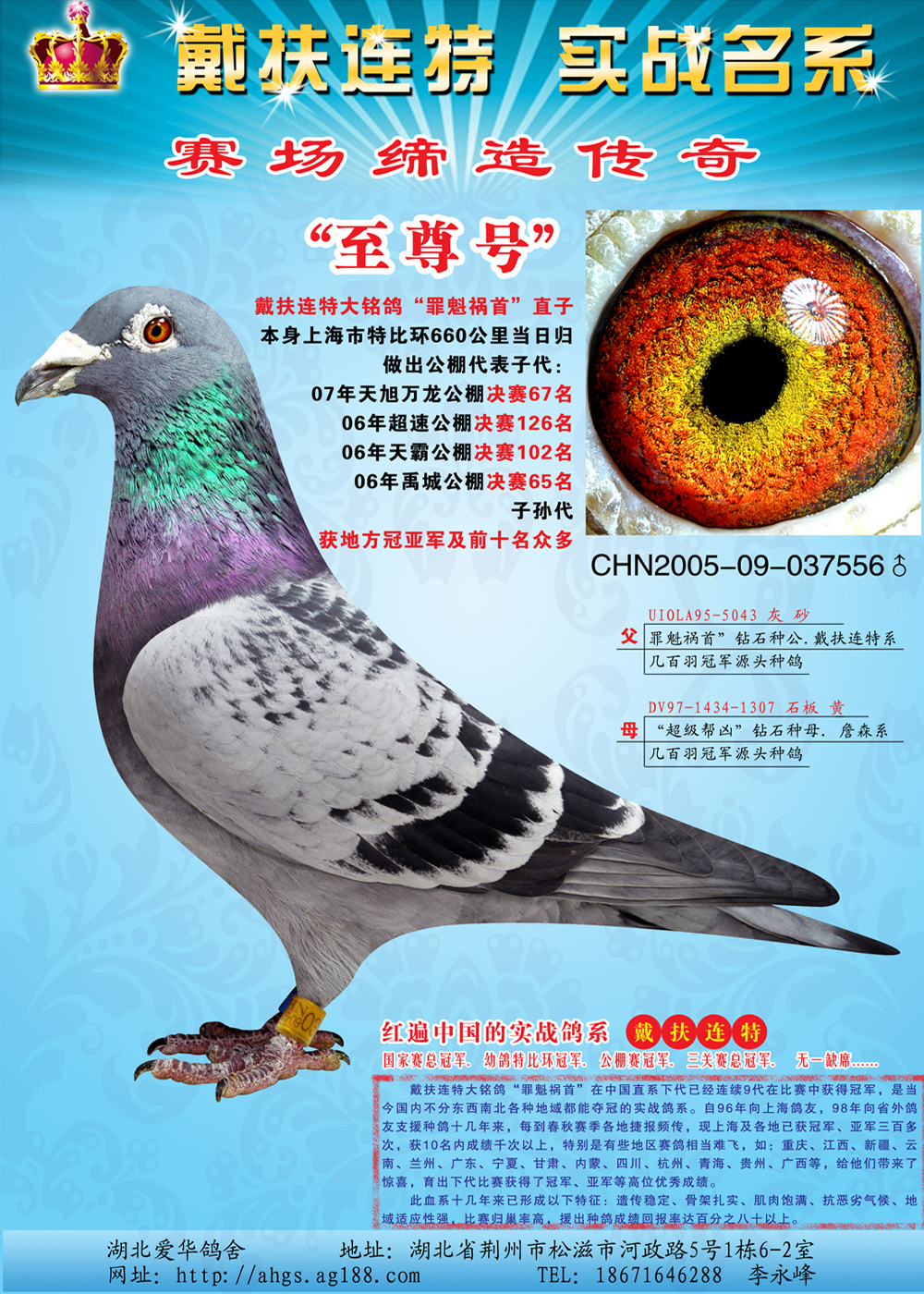 罪魁祸首"至尊号"