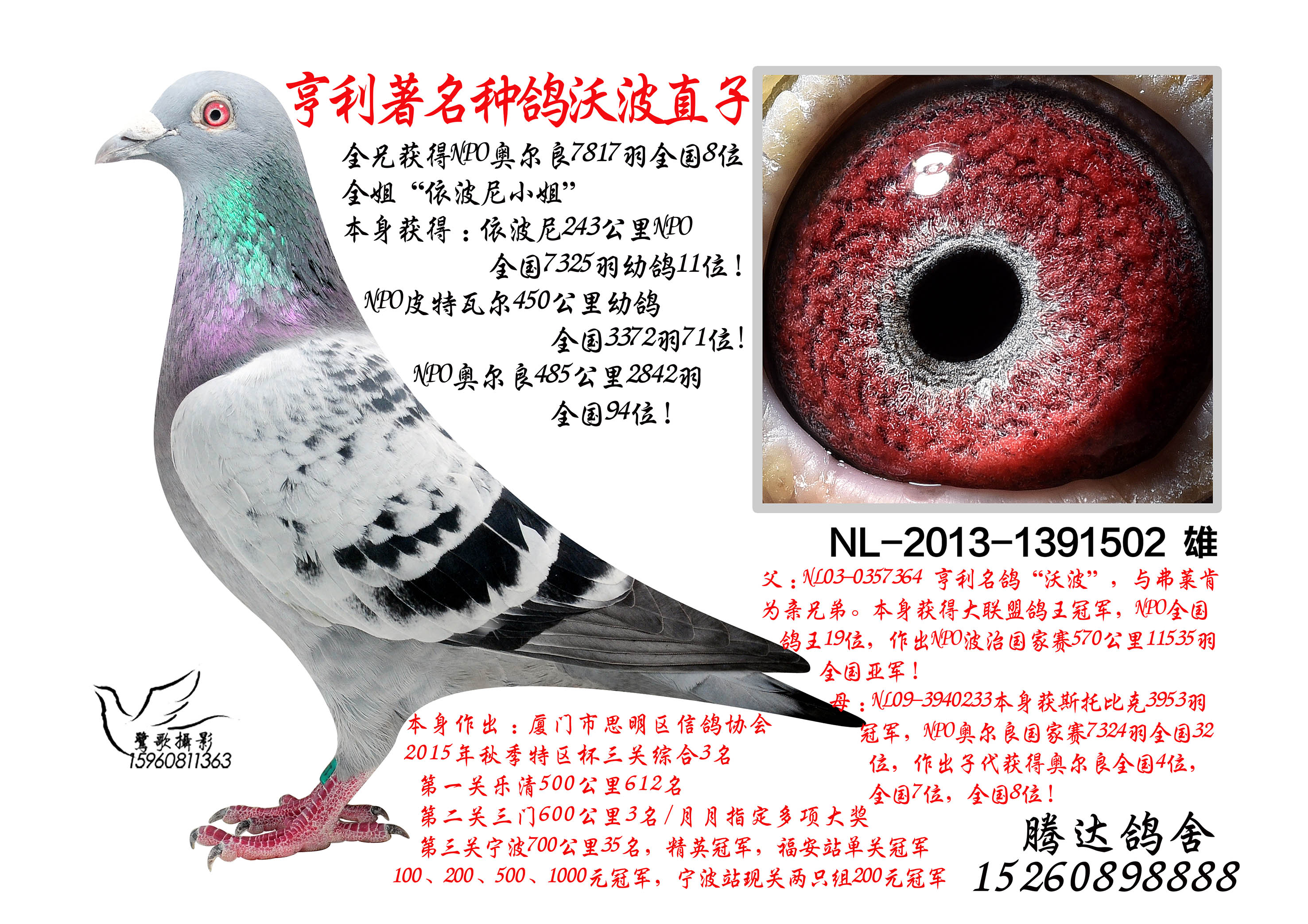 亨利凡多恩(夏拉肯)