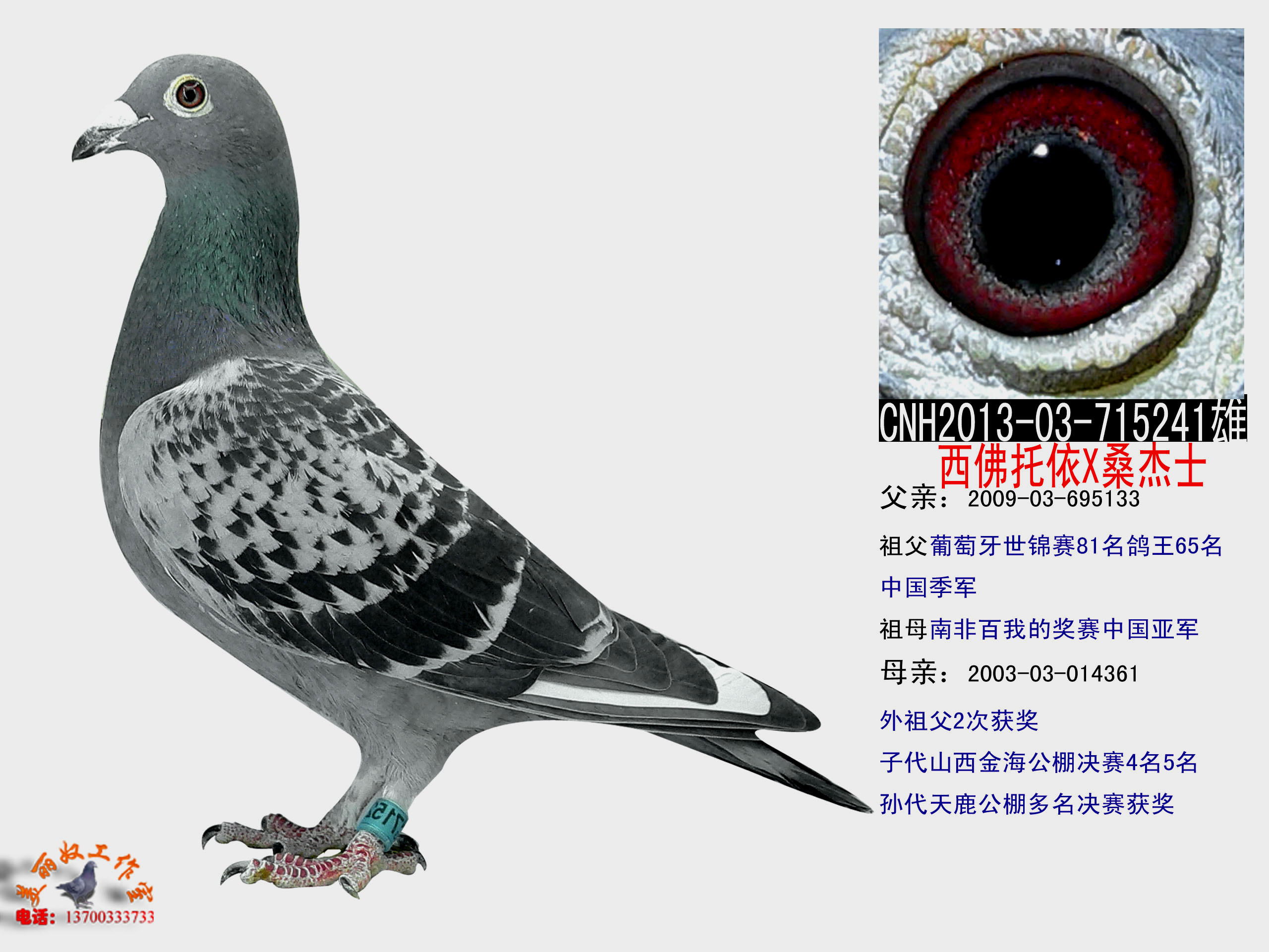 西佛托依x桑杰士