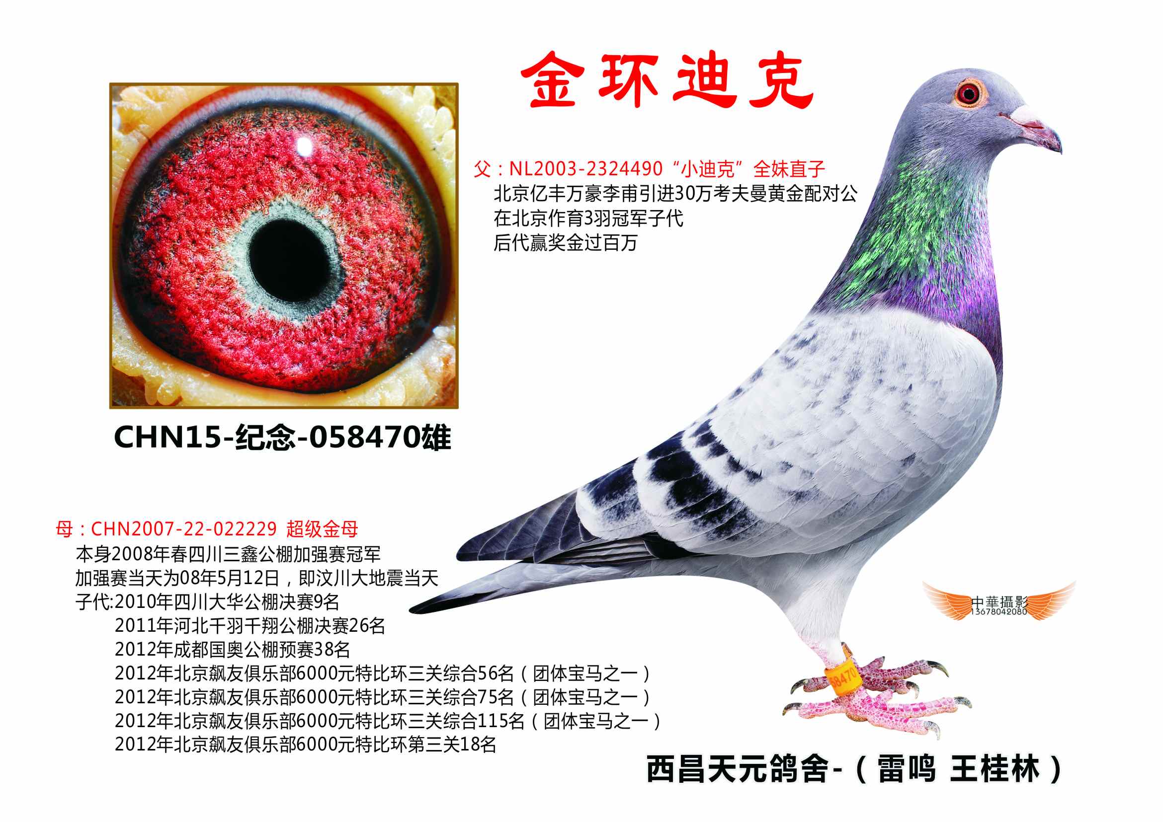 考夫曼"小迪克"
