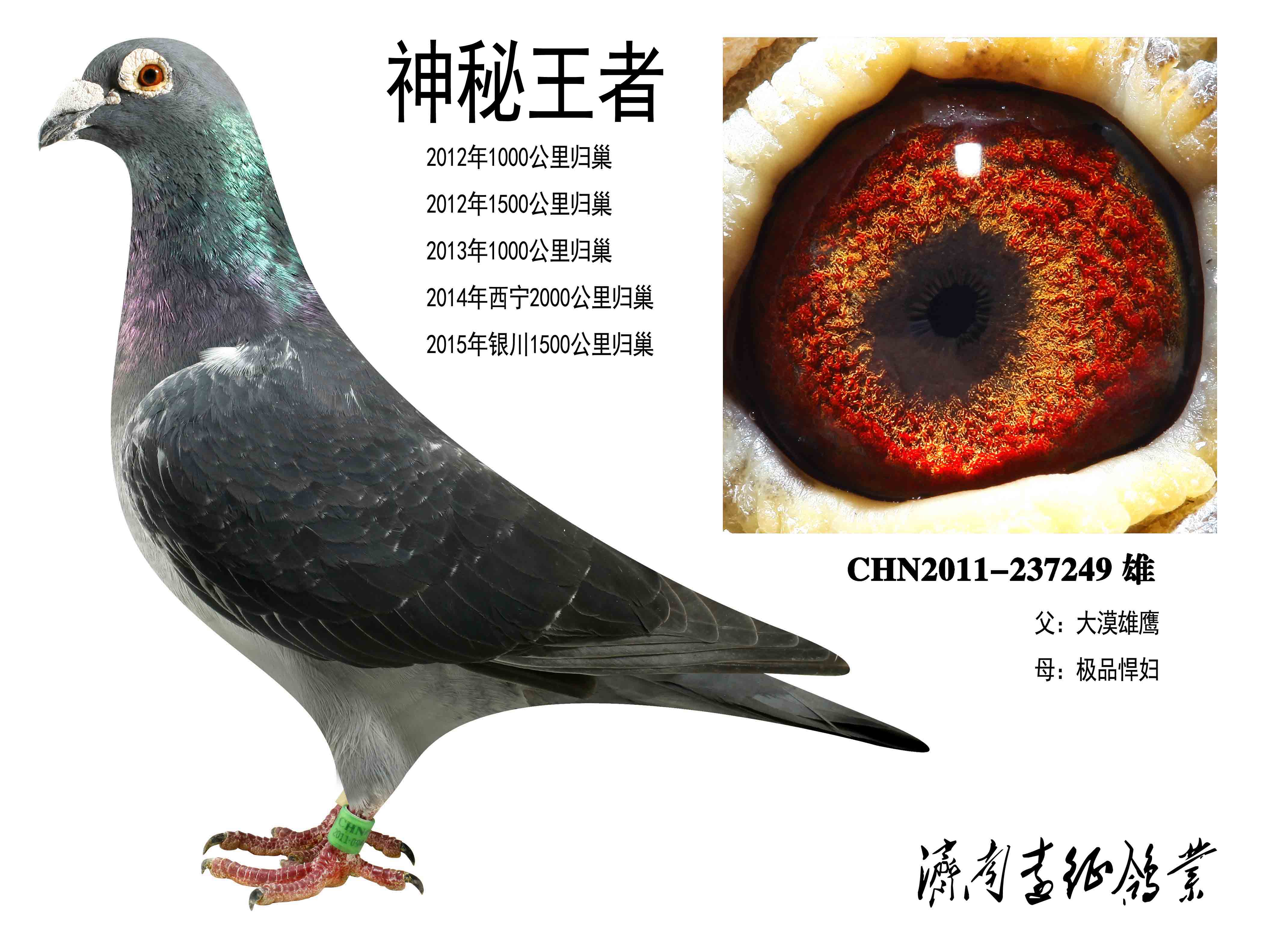 神秘王者