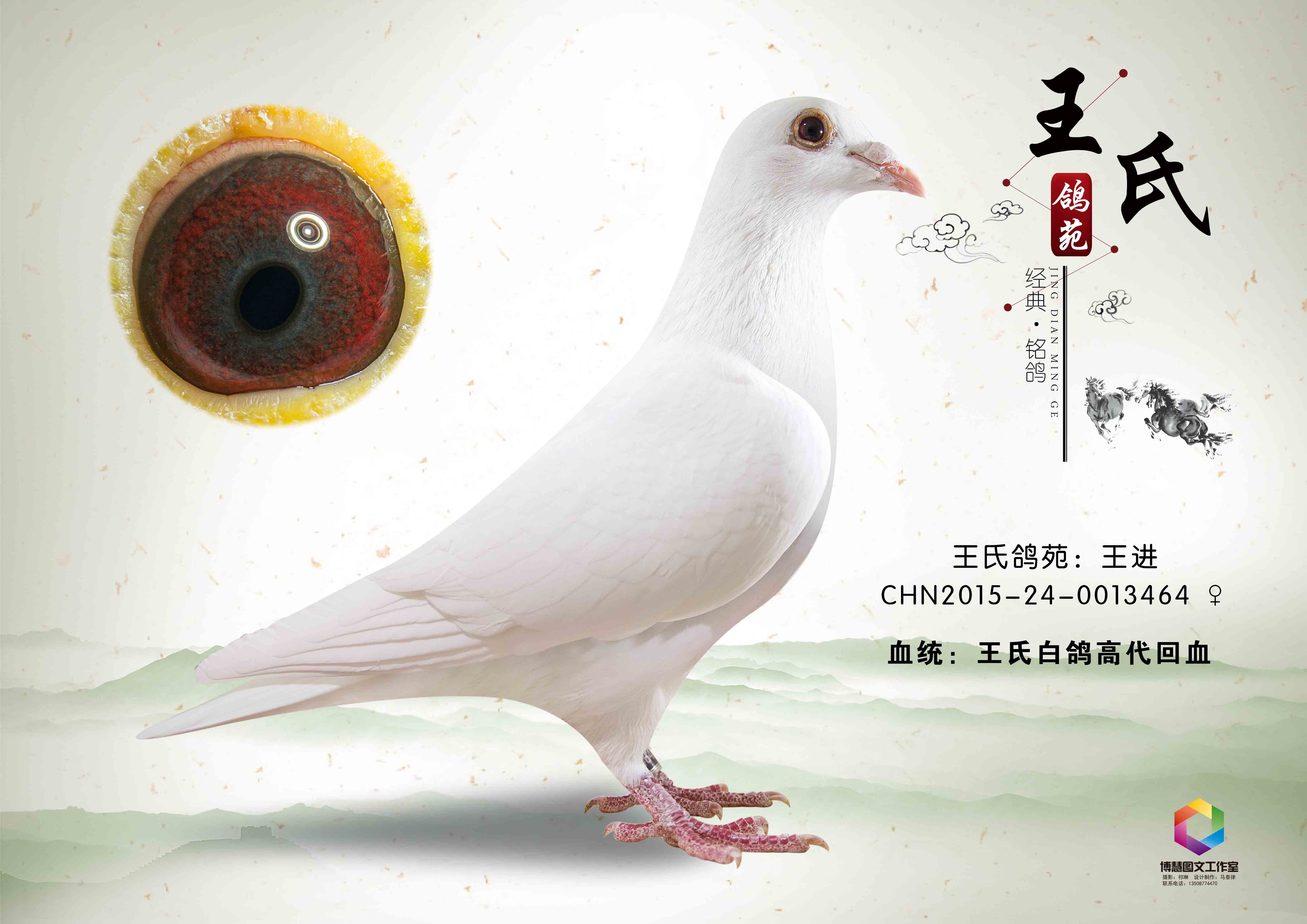 百姓网至尊标王 www.chinaxinge.com