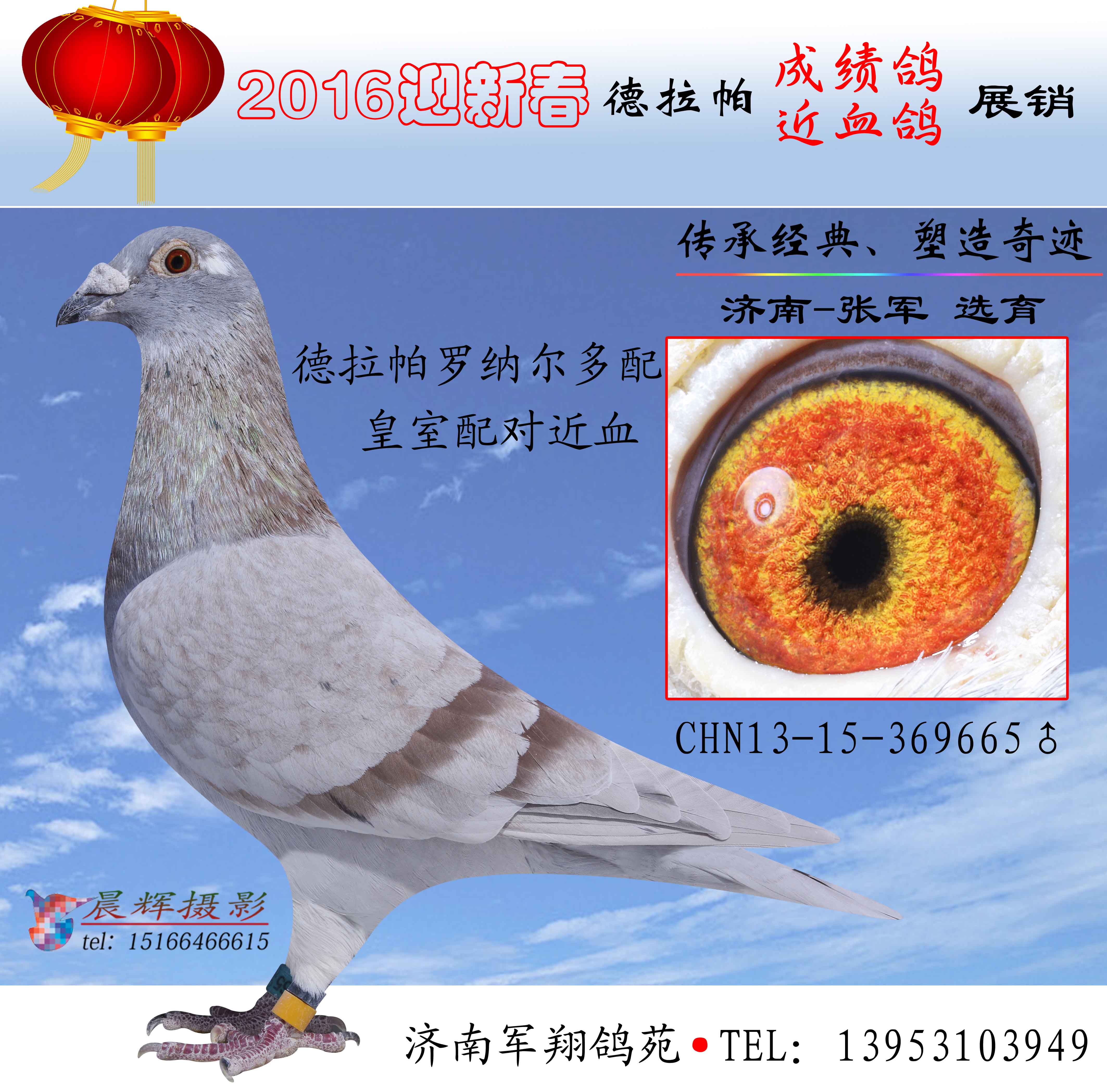 德拉帕罗纳尔多配黄室配对近血