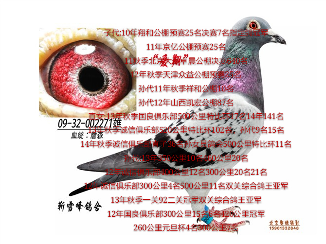 爱翔号詹森