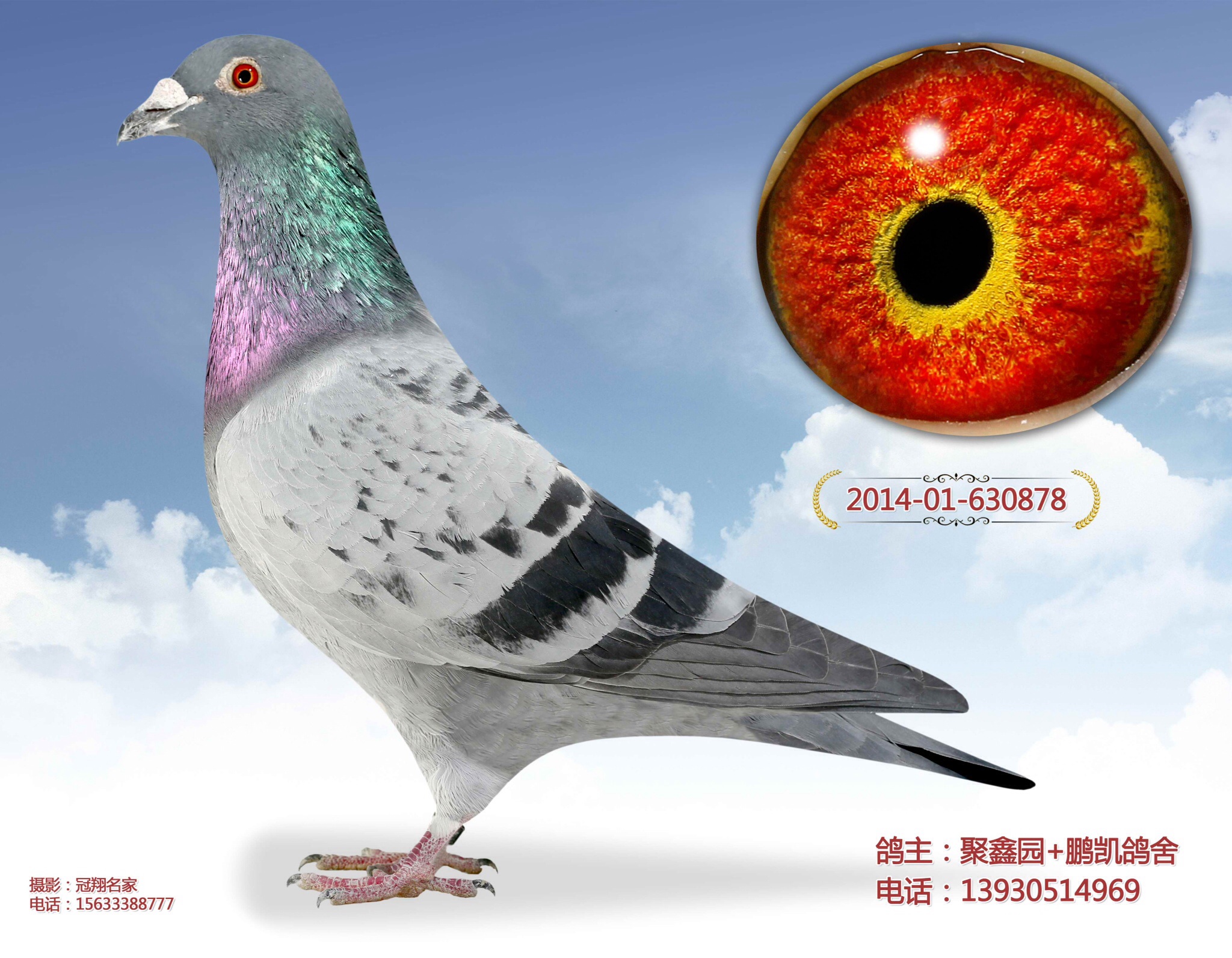 杨长忠超级503直子(夜煞)