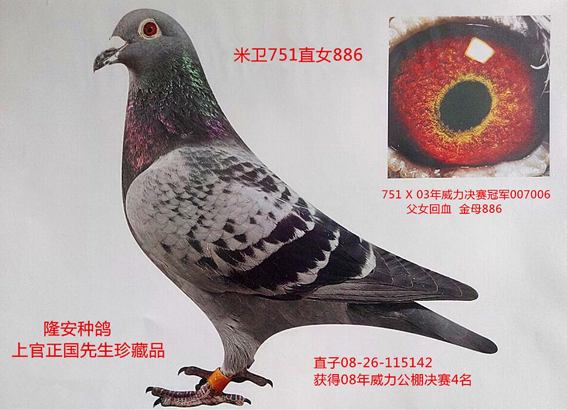 米卫-梦幻配对四代 易菲儿皇后