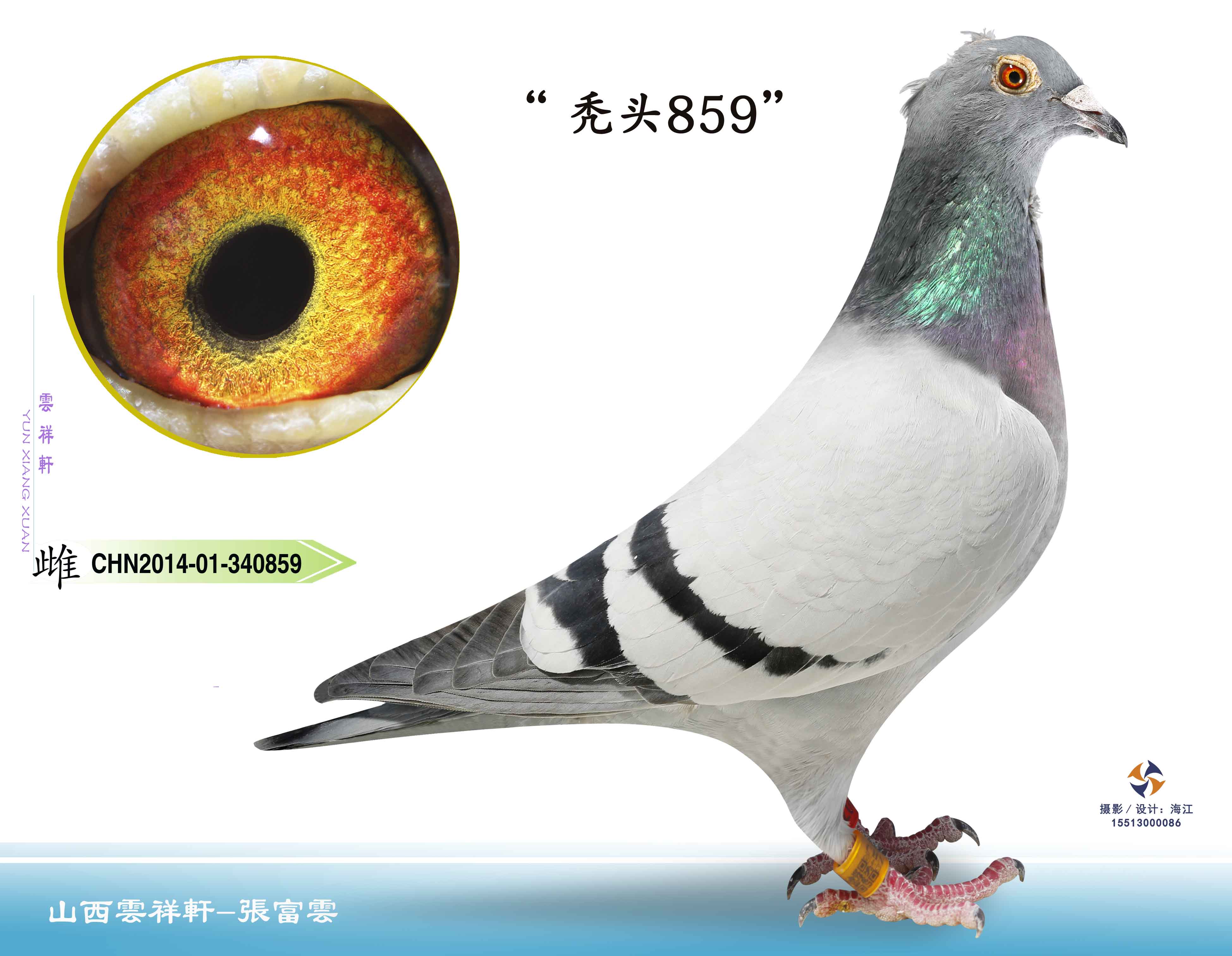 秃头859