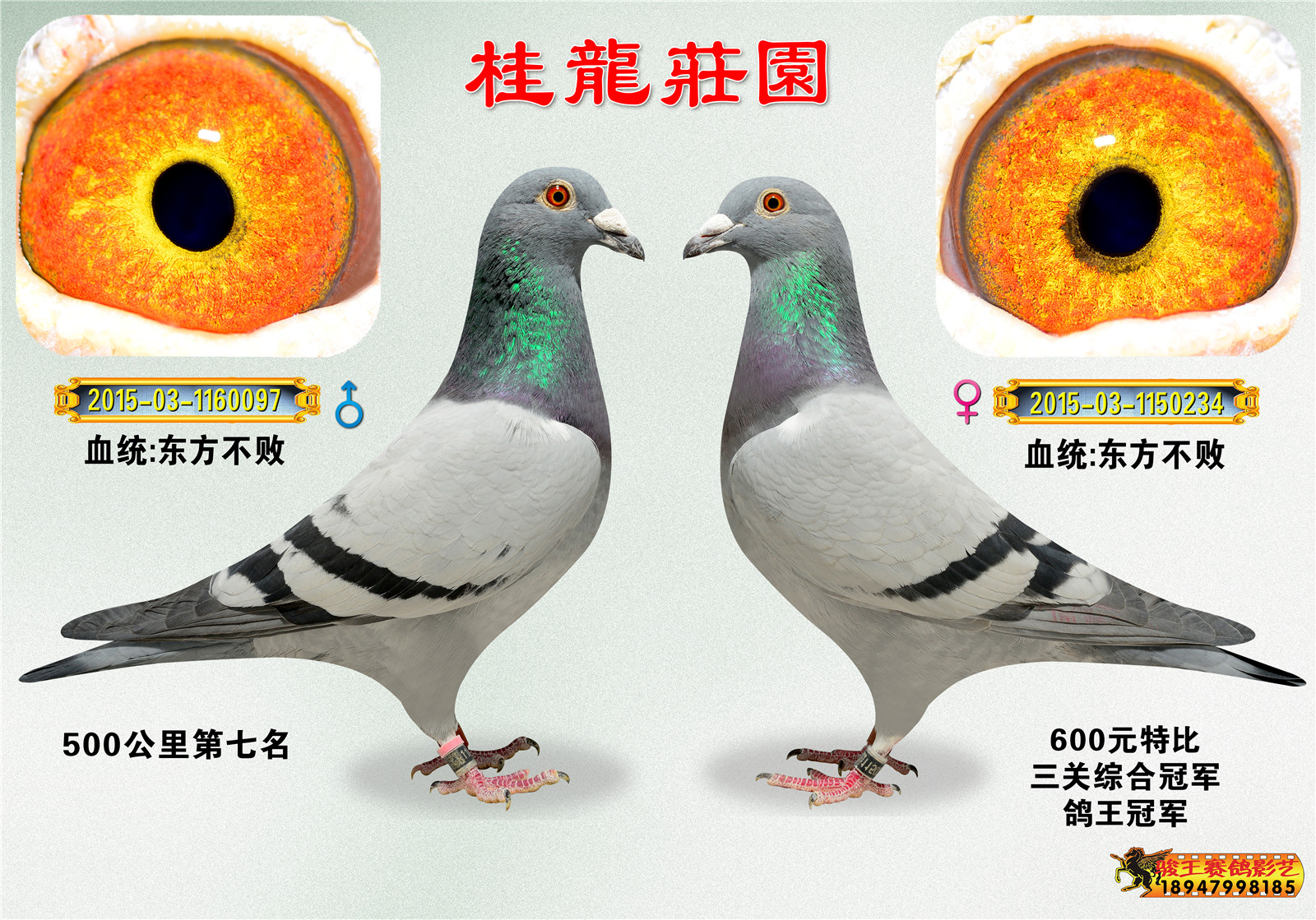 东方不败第三配对