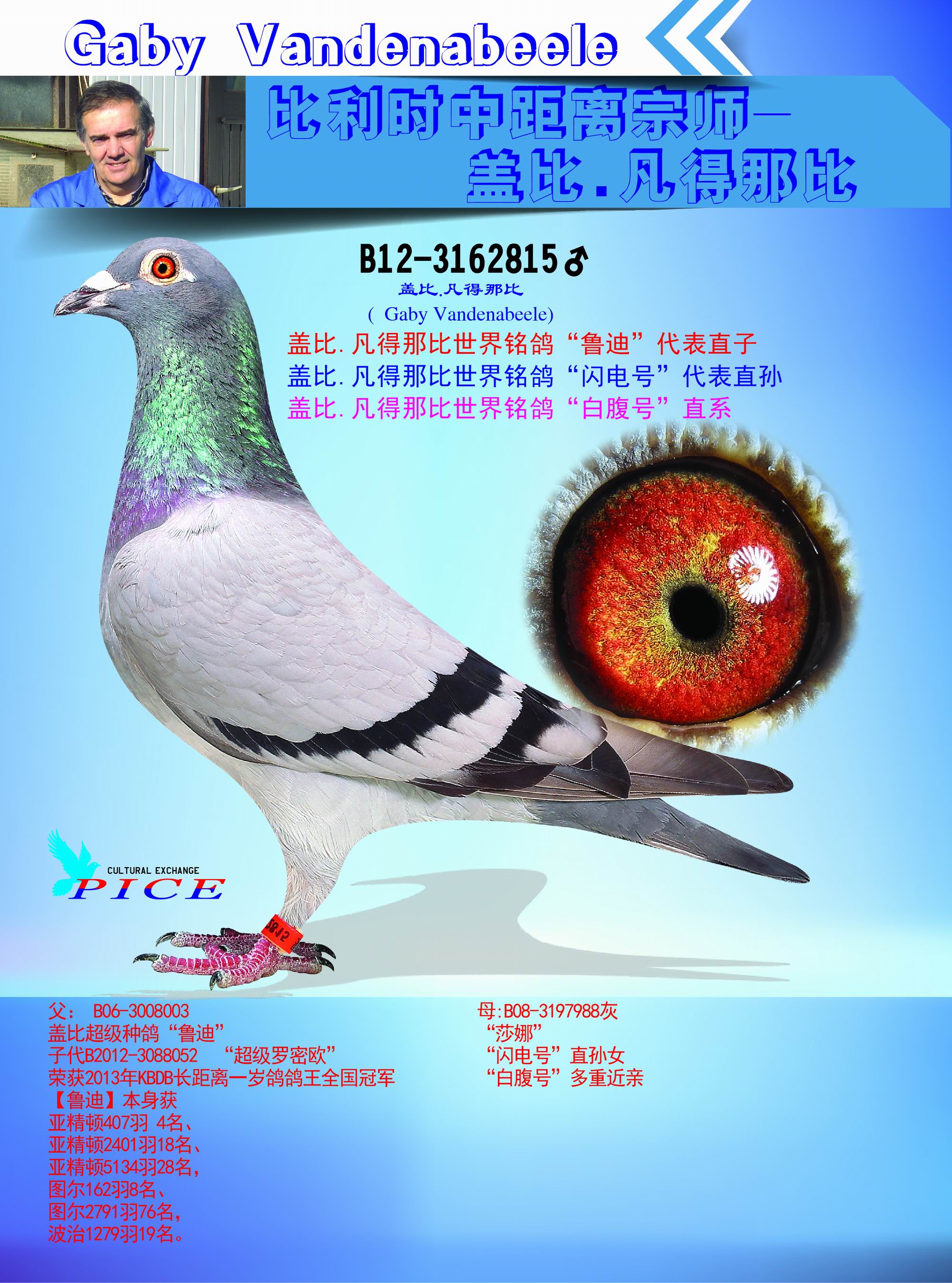 盖比"鲁迪"直子_中欧赛鸽文化交流中心_ag188.