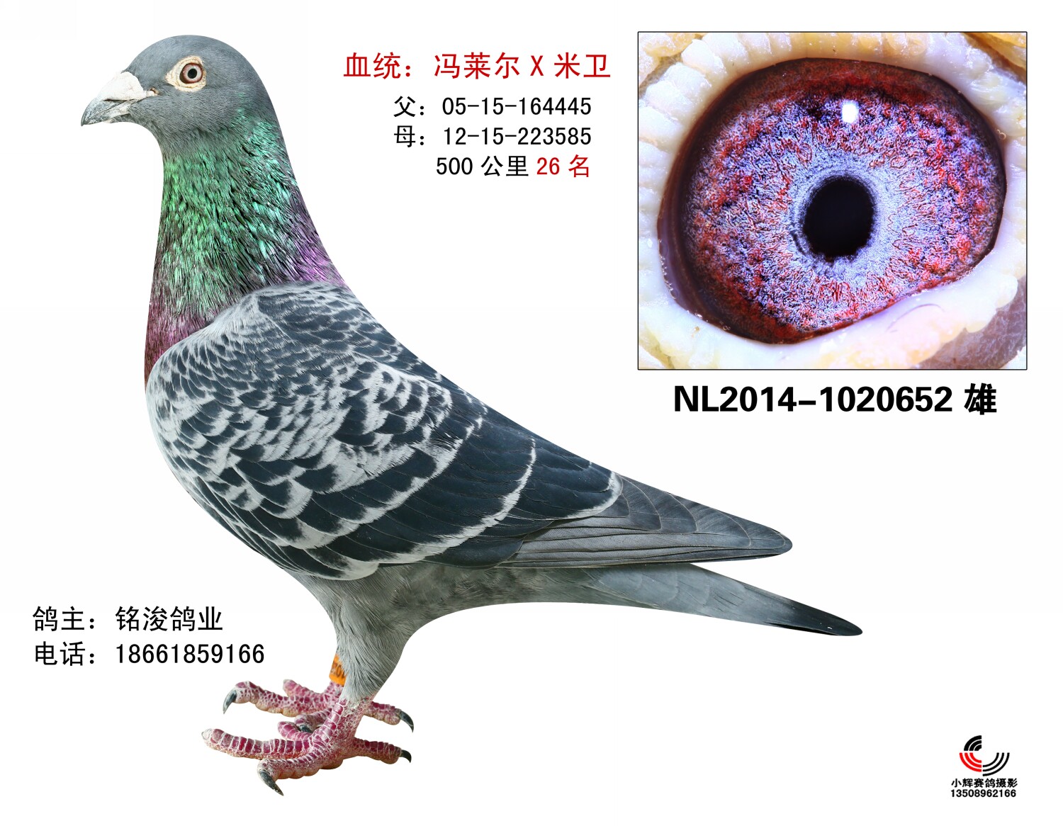 冯莱尔*米卫