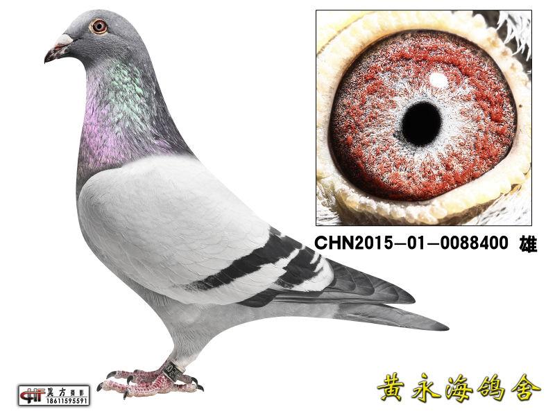 超级神父直子