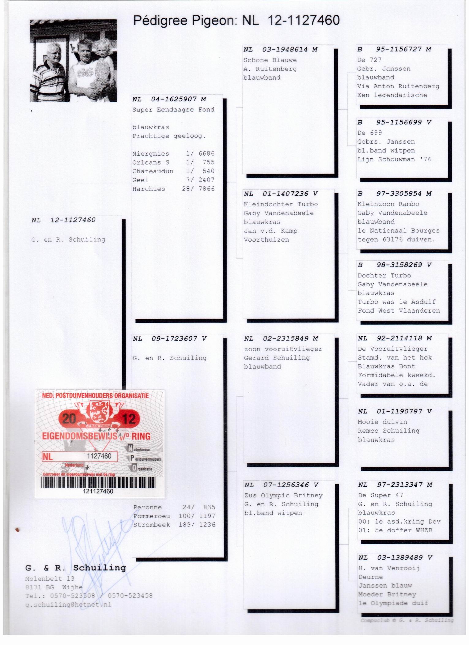 荷兰父子_安徽豪翔赛鸽_ ag188.com爱鸽商城_中国信鸽信息网