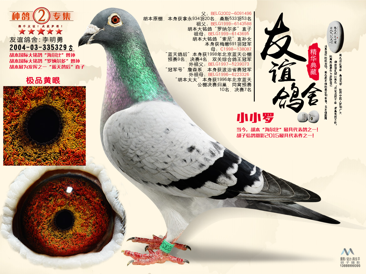 自由号_云南友谊鸽舍_ ag188.com爱鸽商城_中国信鸽信息网